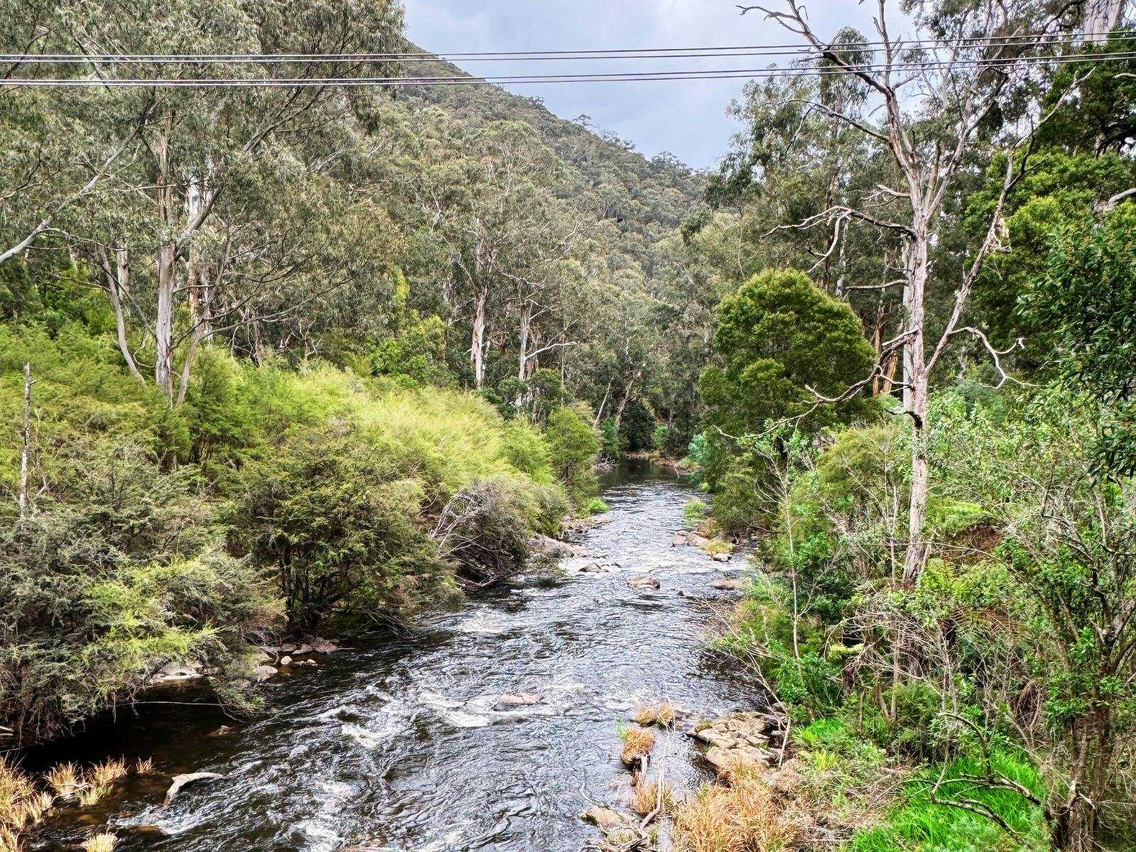 81E91C34A96634242343599F312E9Da5