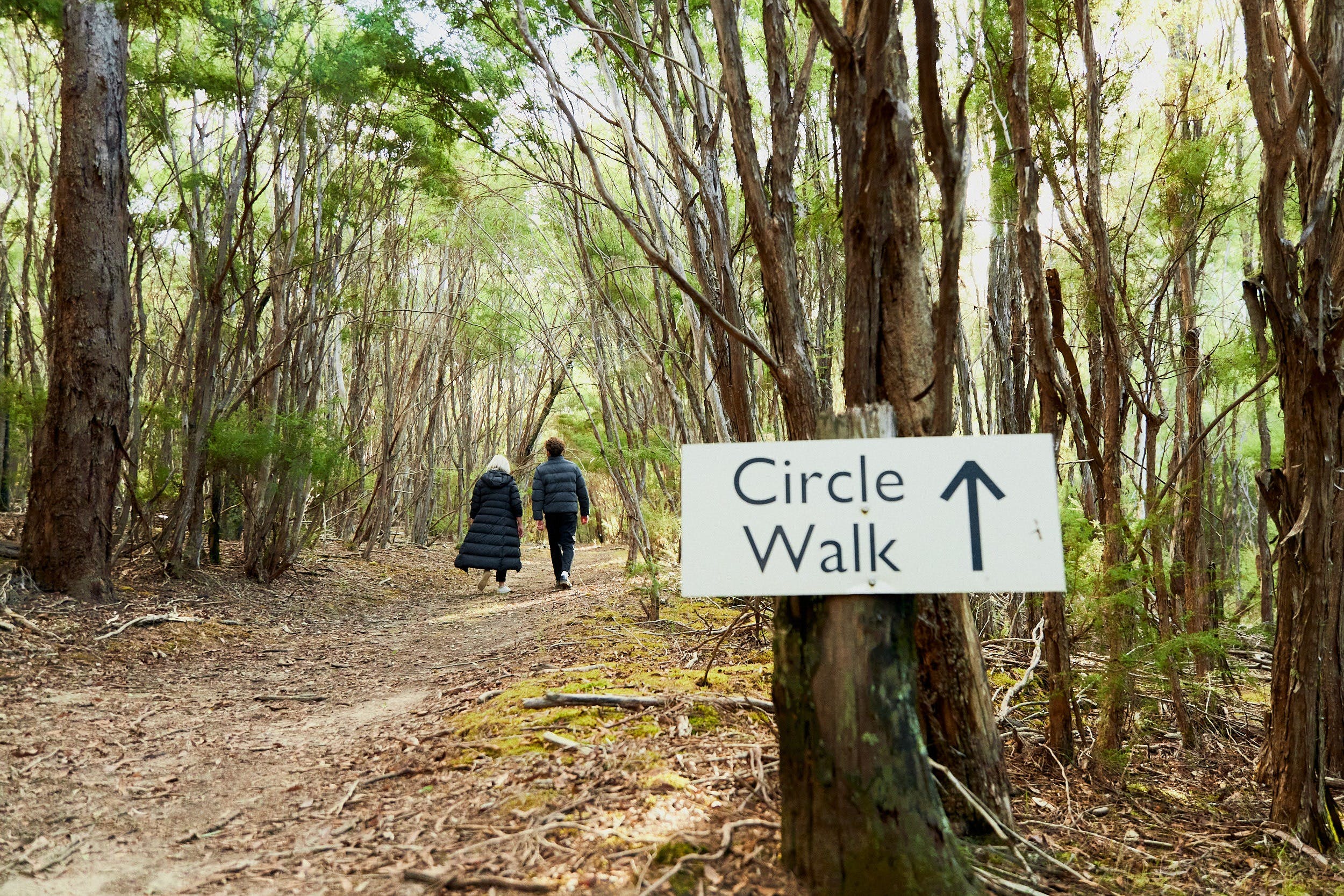 84B5B1Cfb7E000B09Cac88E388F7250E