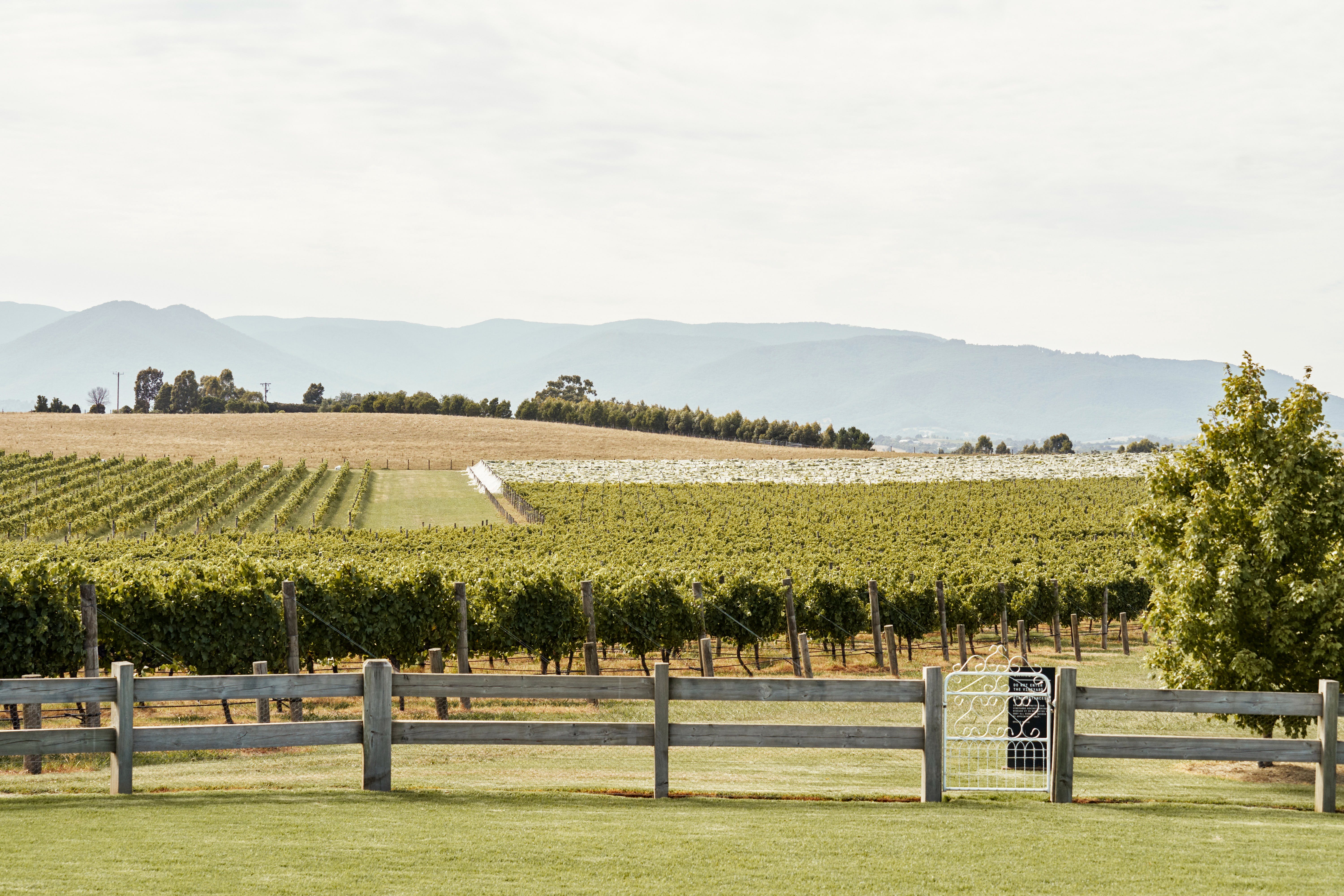 84Be3E8C9D0F89Aeea3Aa3E2Fc8733B8