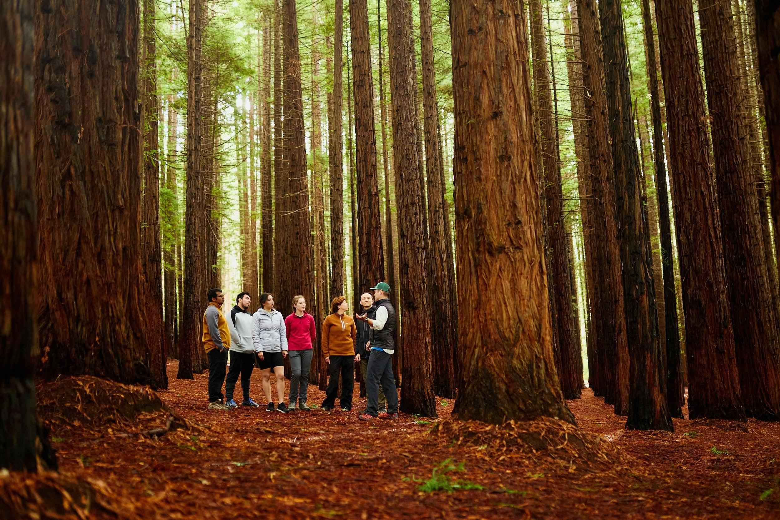 85C4724Ea81Ad6Cf90Ac442Afb280Ace