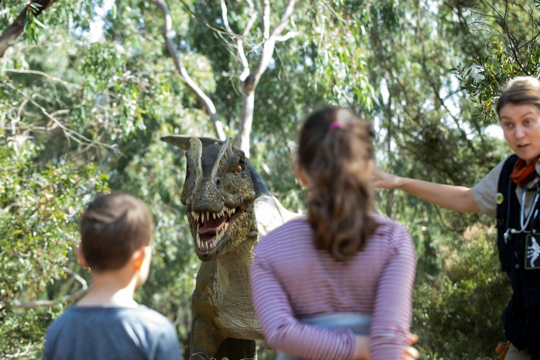 85Dca477294Dbba6Da43855205570A16