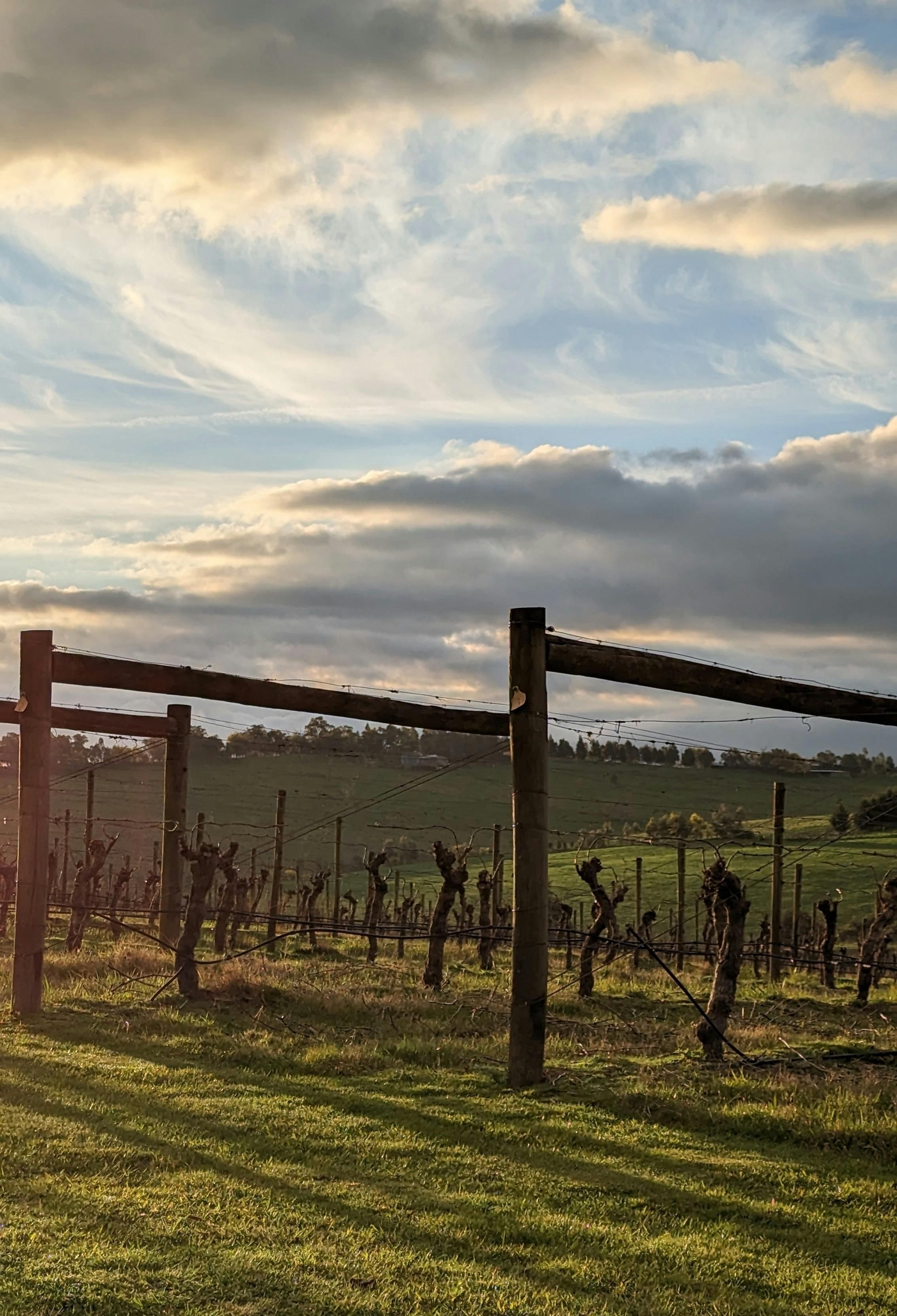 86Bc36097Fe31D1F3728E25Ca9807C23