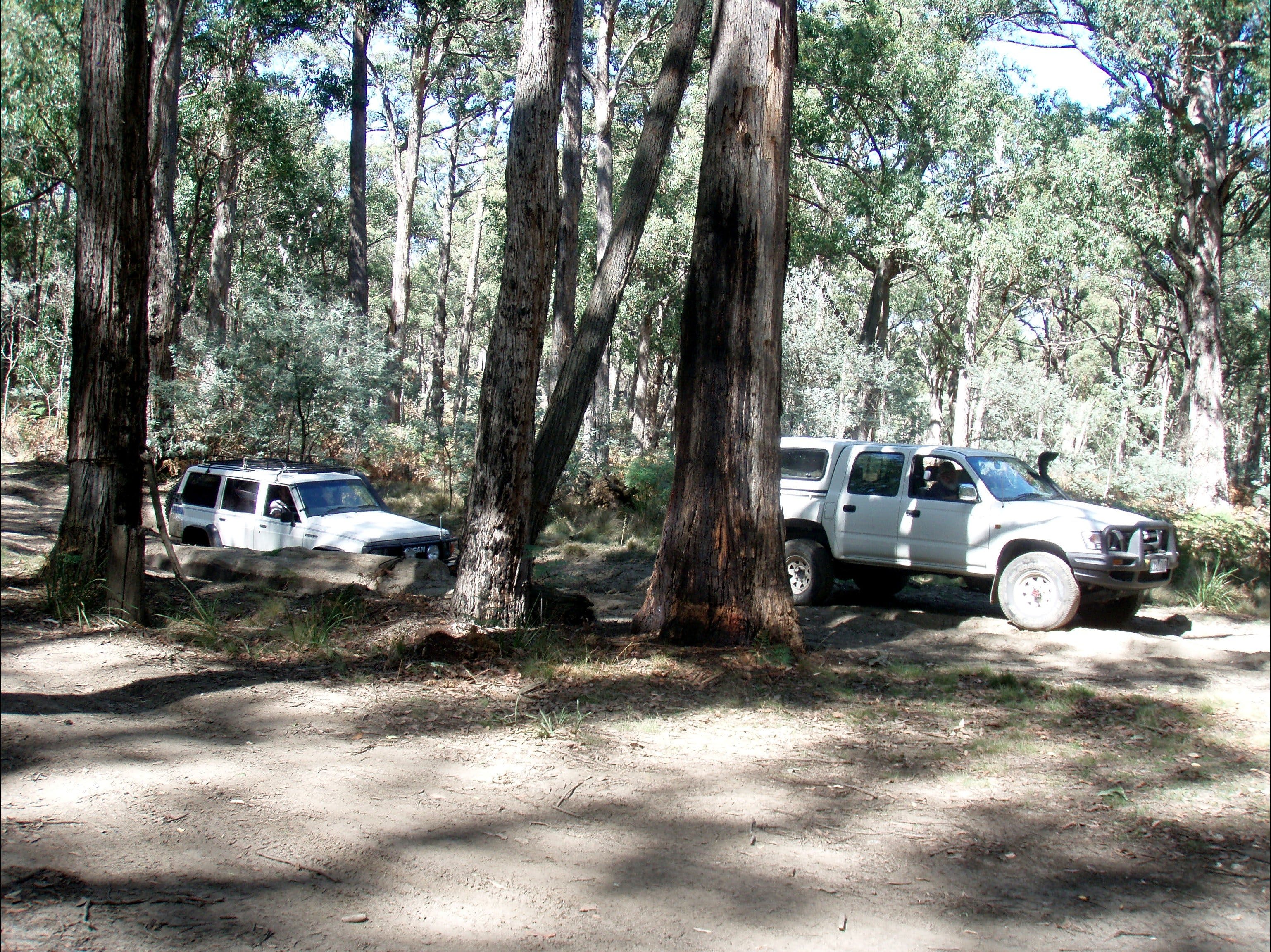 881B63310Fa79B480Dfc49A74C9813E9