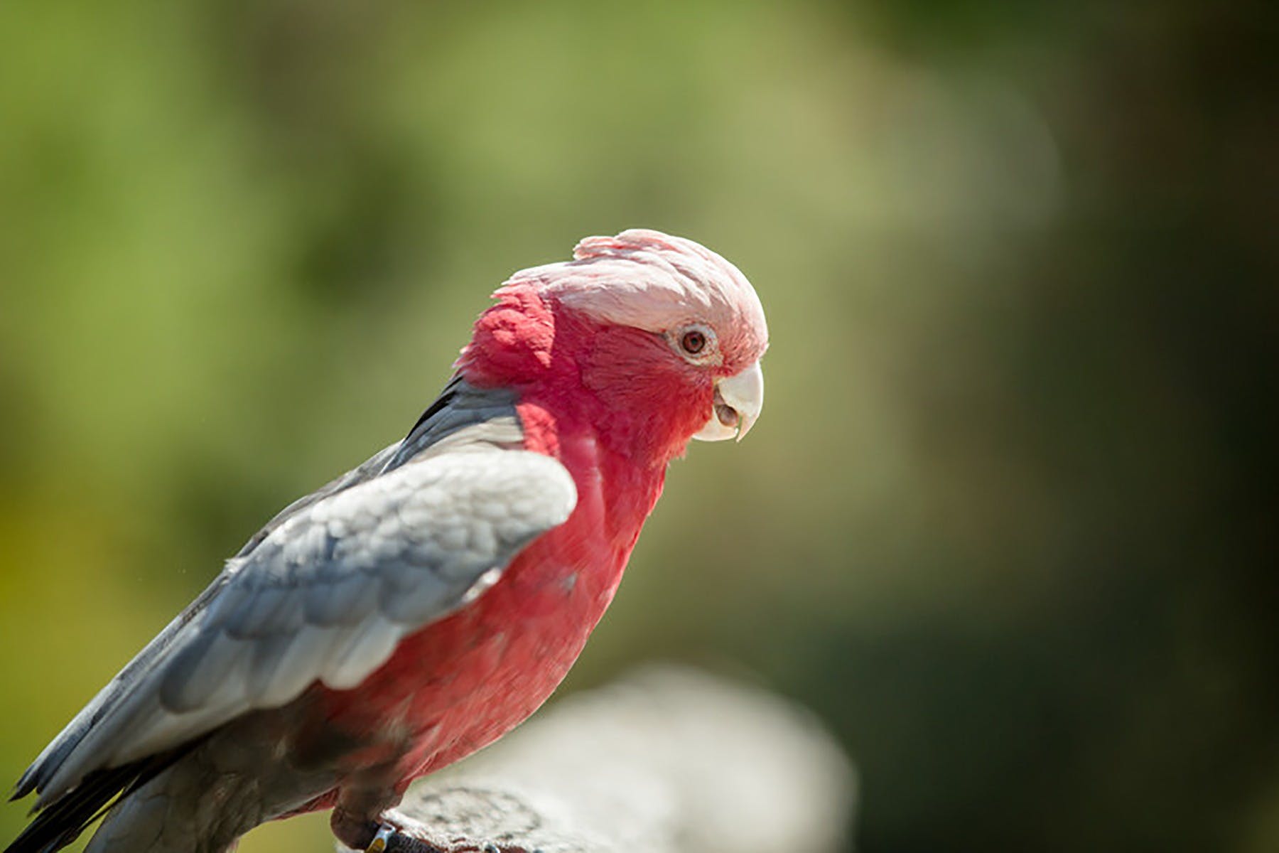 88A60D2C8663E3Fb675Ca039263B2E7B