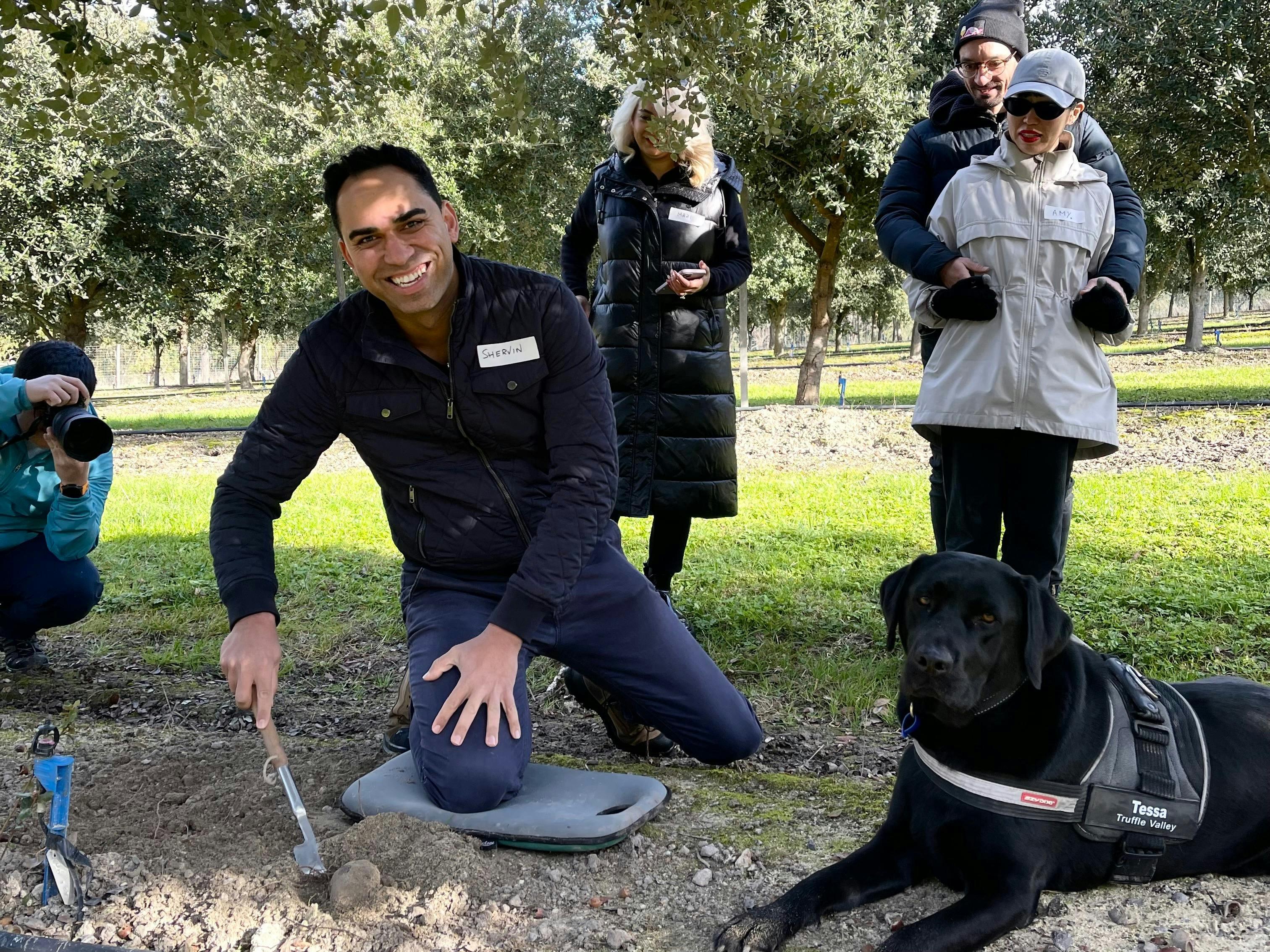 88D230De71433029A8D997C5816Ff670