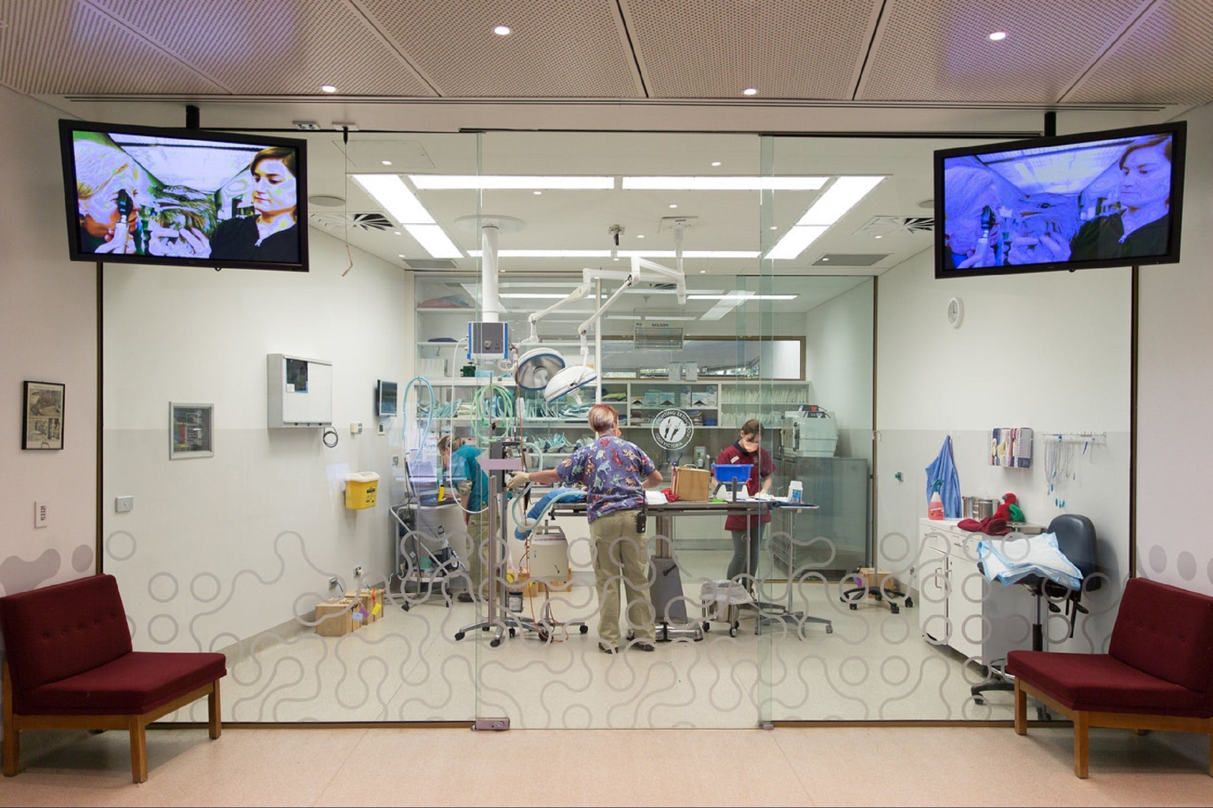 895A7E89Ddb659A9621Cc6584F15802D