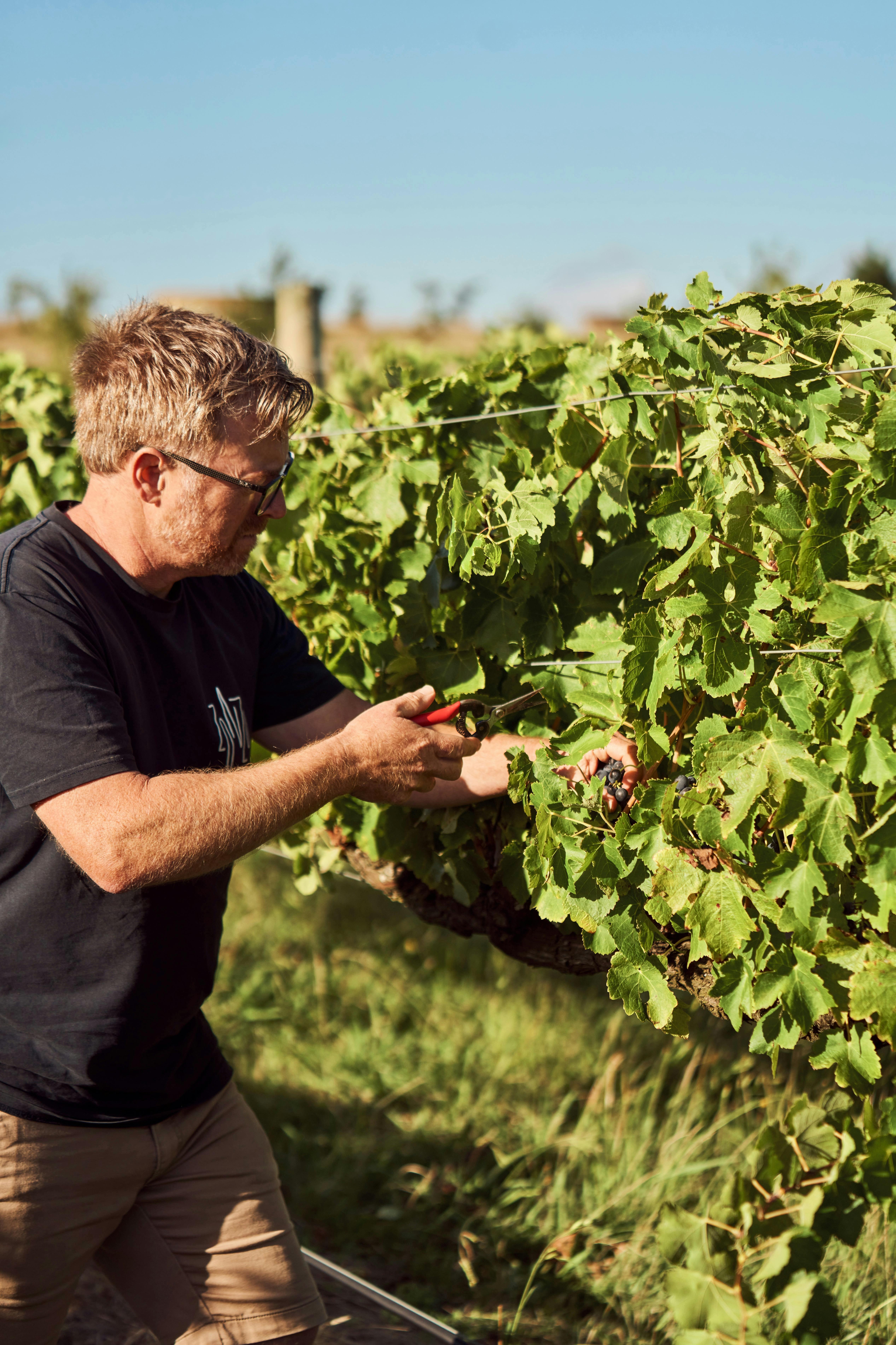 8B88525B9Fa9A0Ddcdeca417155D5208