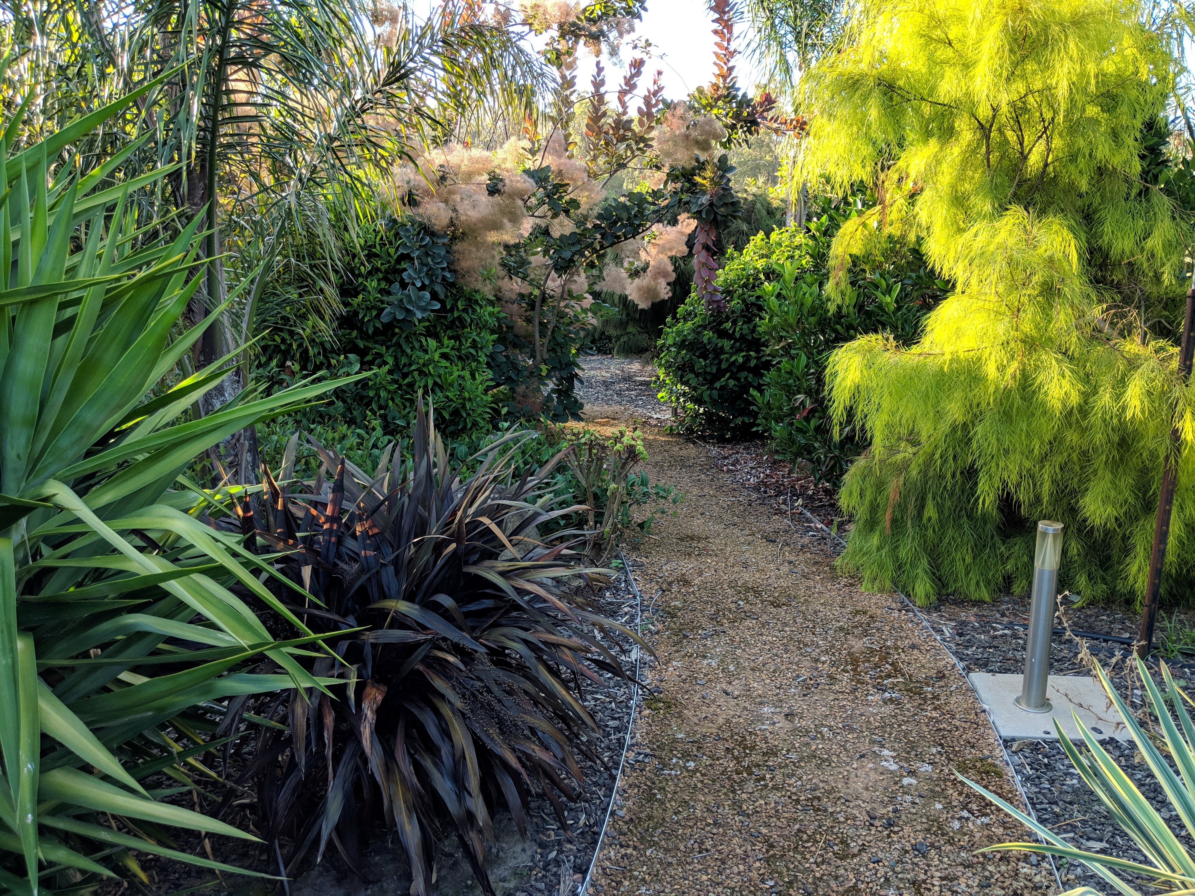 Oasis Berry Farms Visit Yarra Valley & Dandenong Ranges