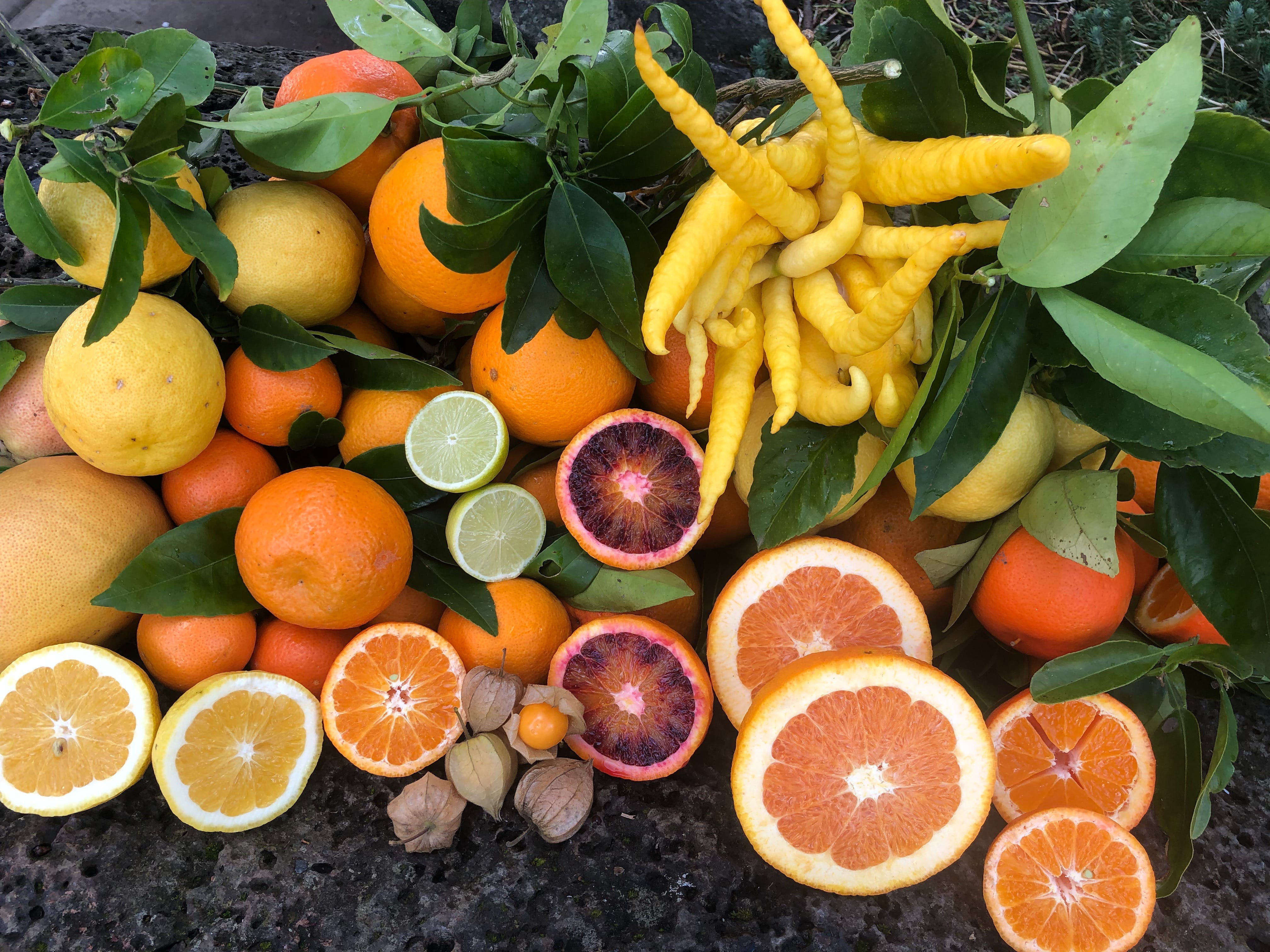 8C361E68Af8F9C12D1Cca86411853182