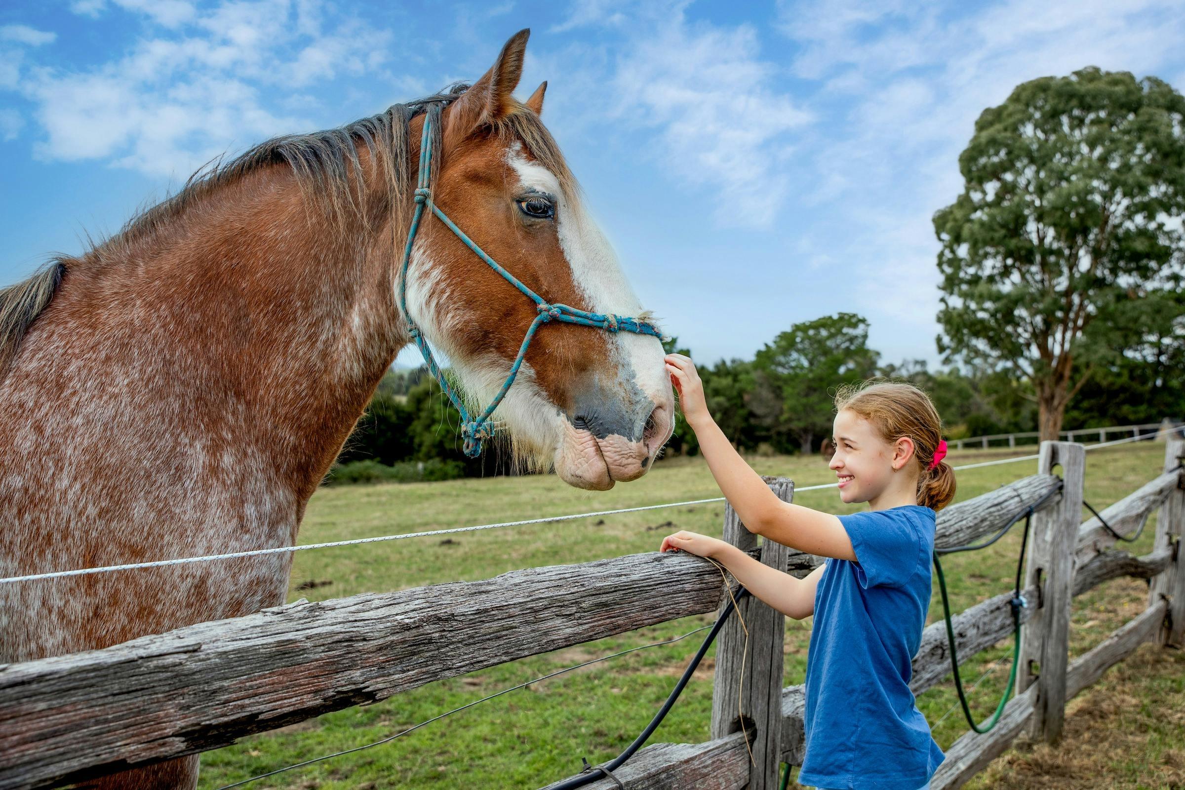 8D7Caa2C6A5716F853Fa059E861Ba7C2