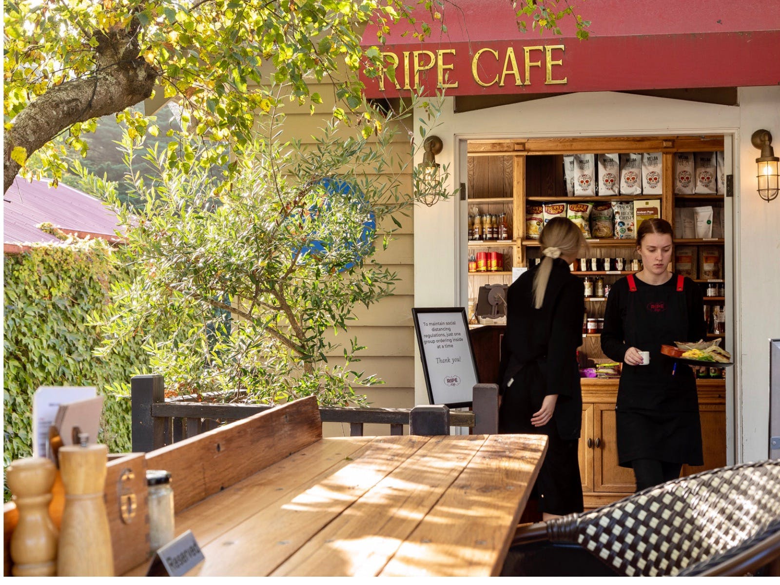 8Ef3D049Ca6D5A034Bbac9F2E358E2D7