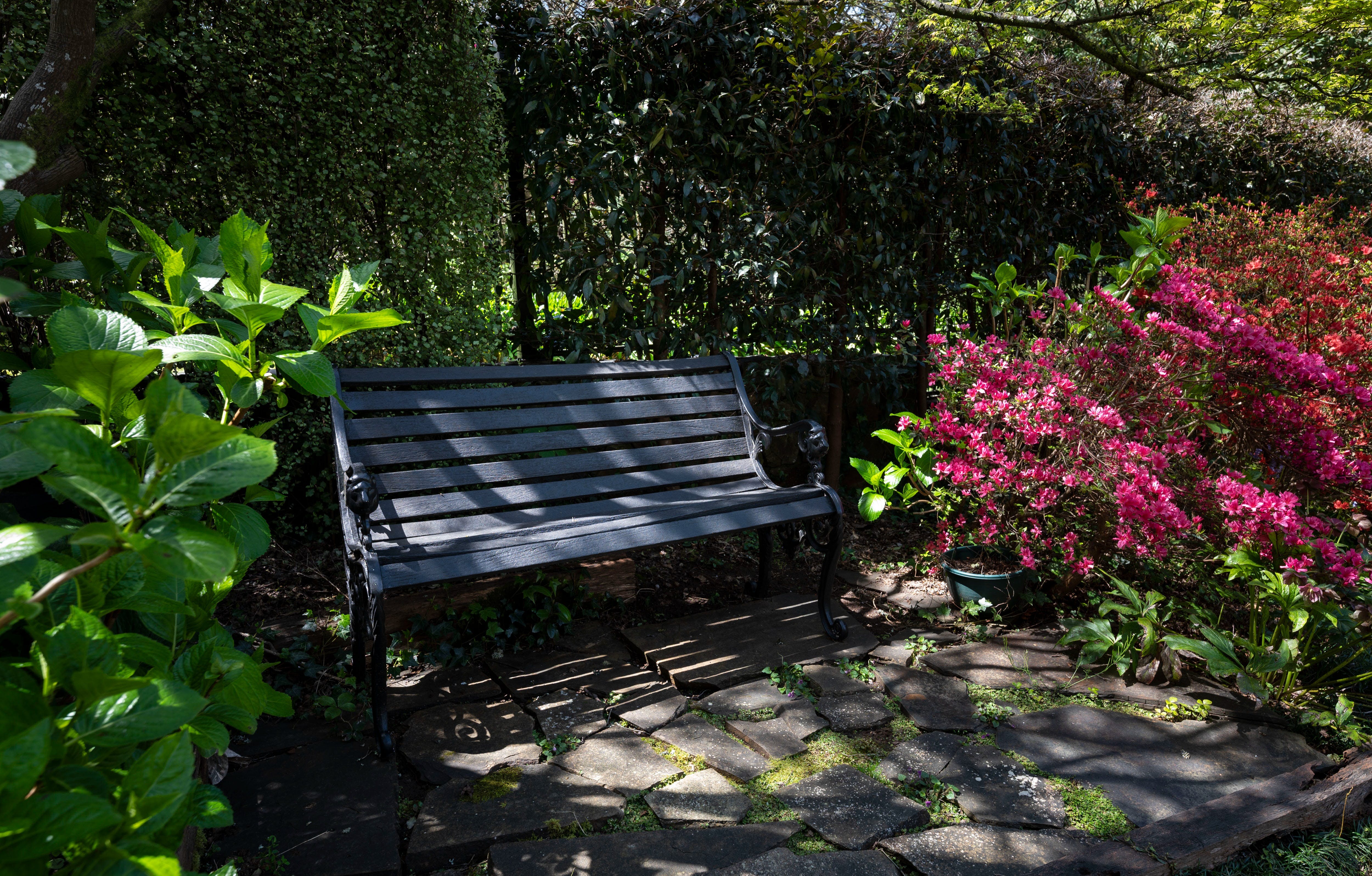 8F73397A9998Aed82Ee9799523967897