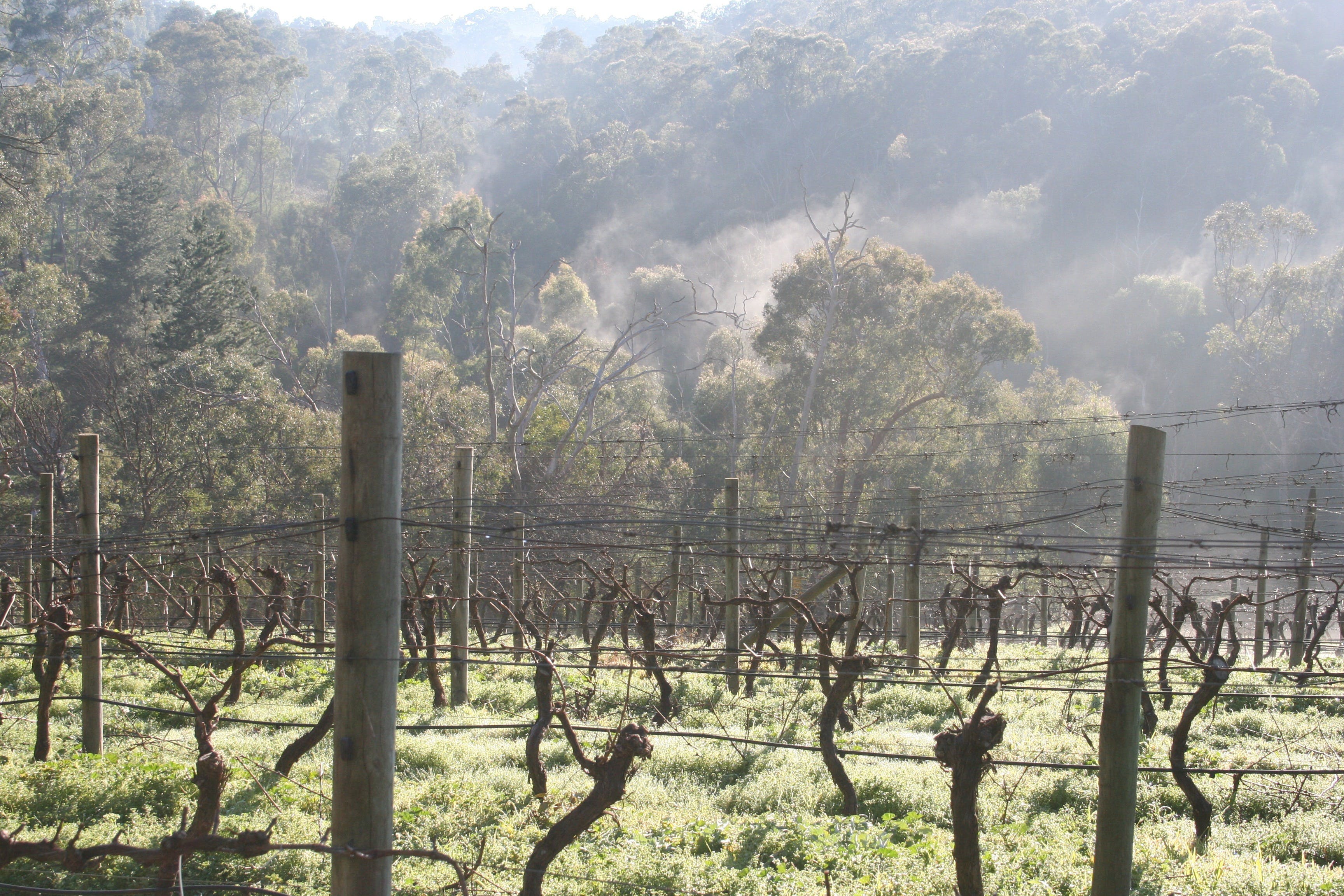 9227Cf05Ccebfd0D155A2107E9F01468