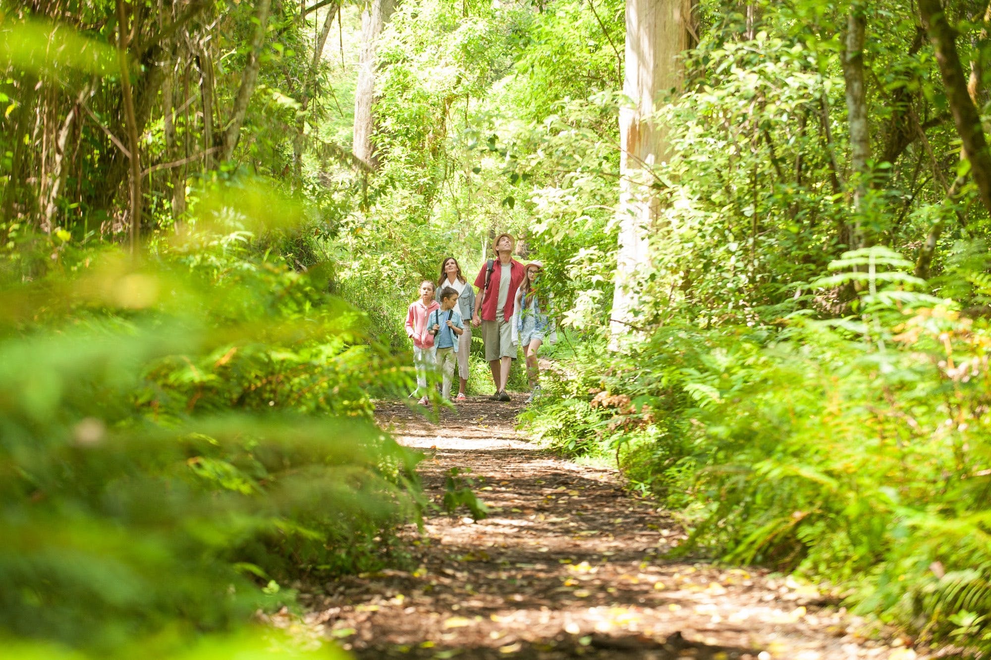 93941Ef5177E86Ceae667Aab3Eadf59A