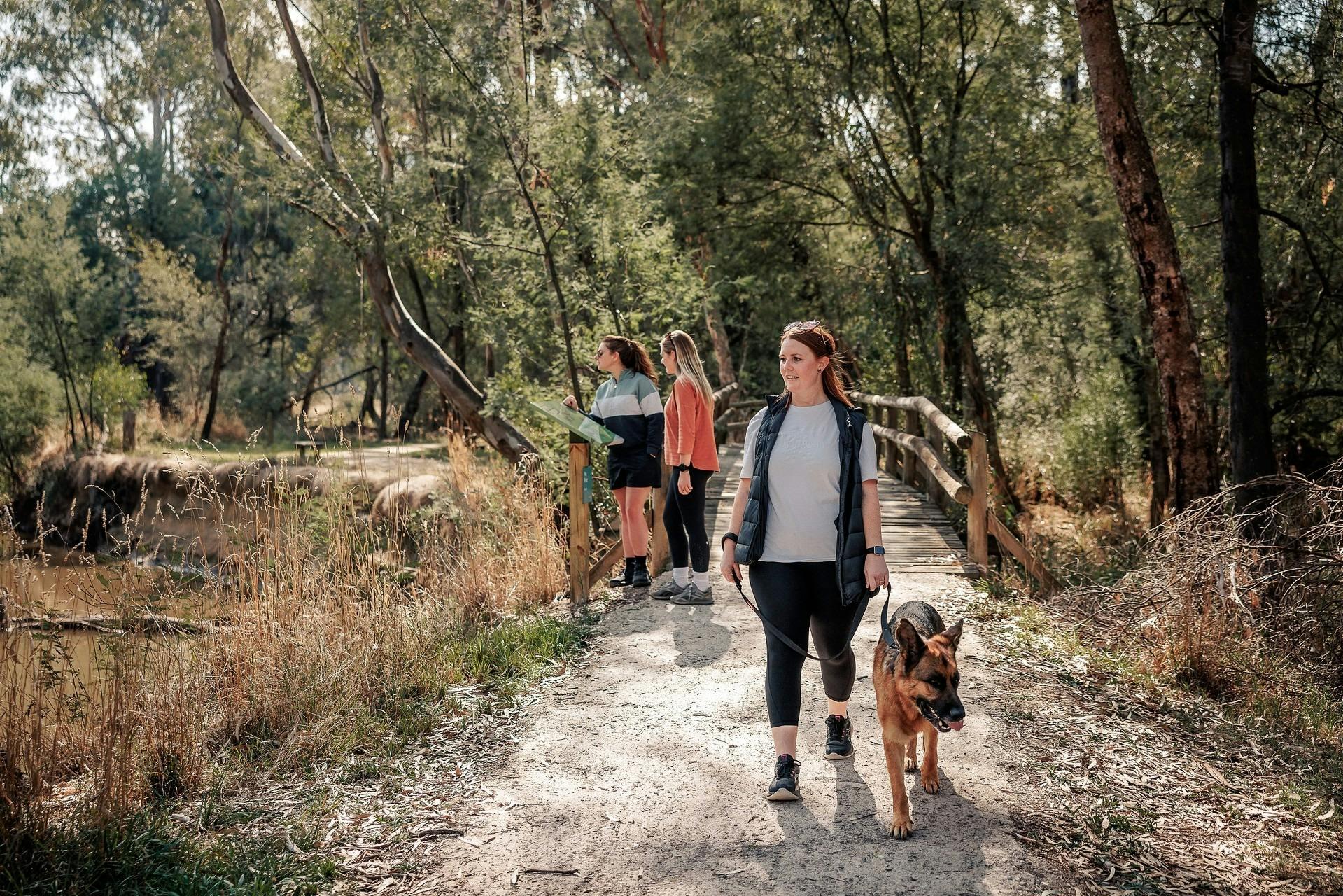 93E5D92B154983B4B1A2B7Dd9C686E76