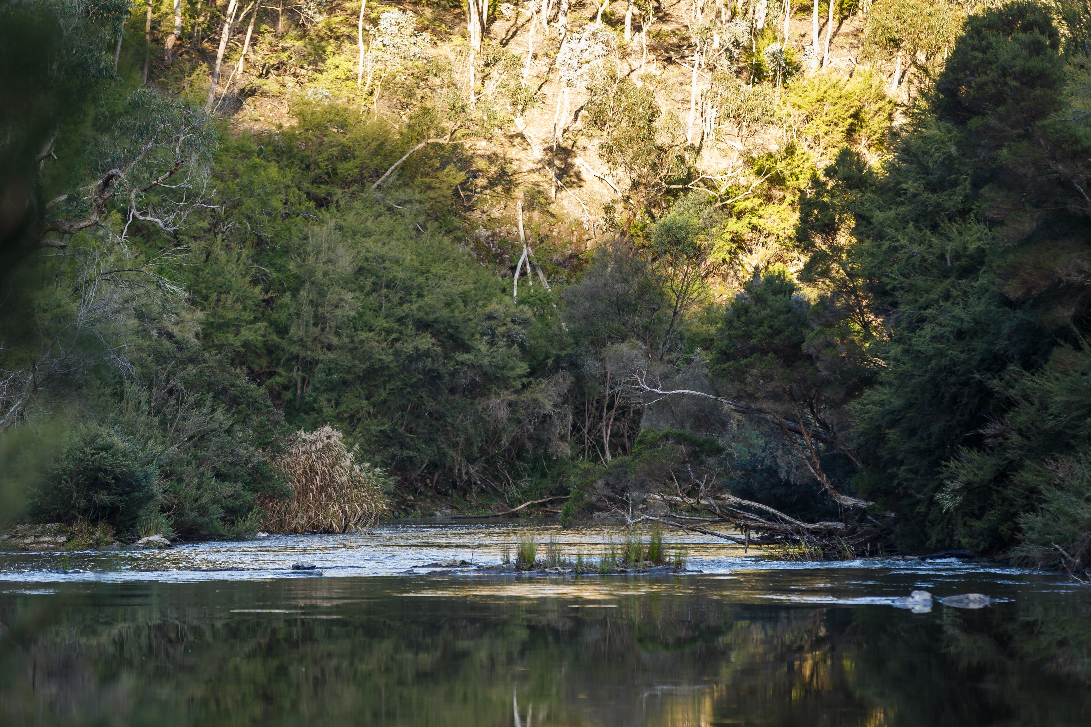 9560F03C82Bae3B1A641C45016620Fa4