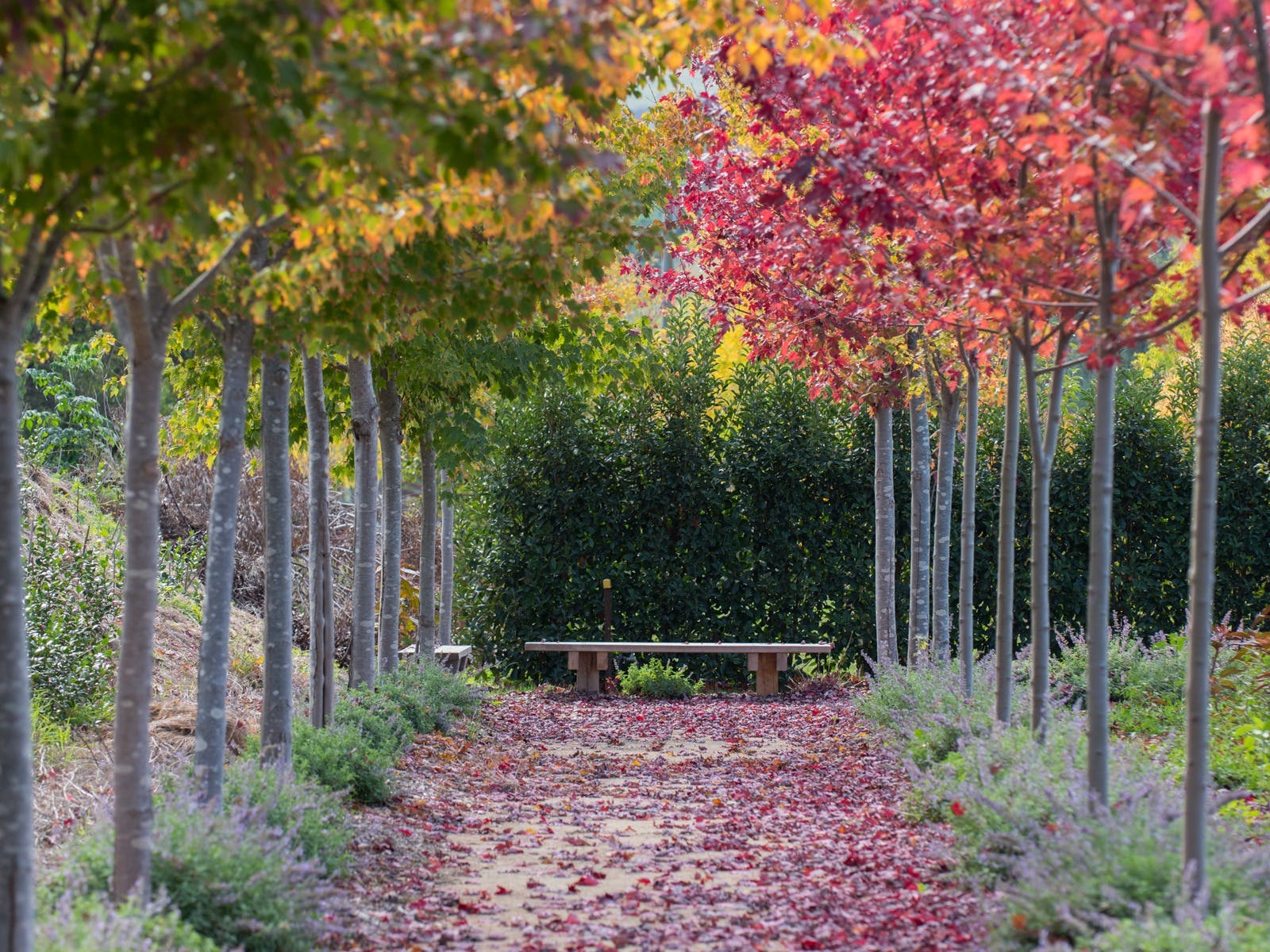 95A18409Fdc8A7Dfdaa8636E9Cf7Fa1D