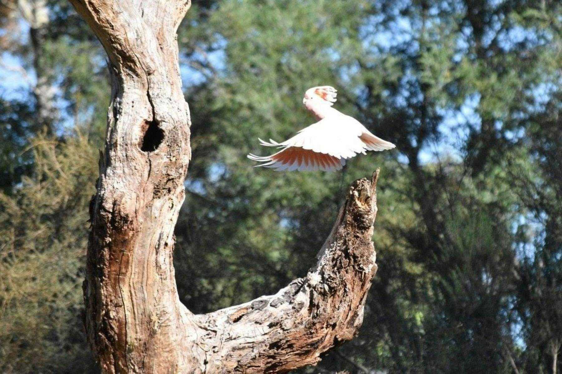 965C6D22169Abd11219785A1233067Ae