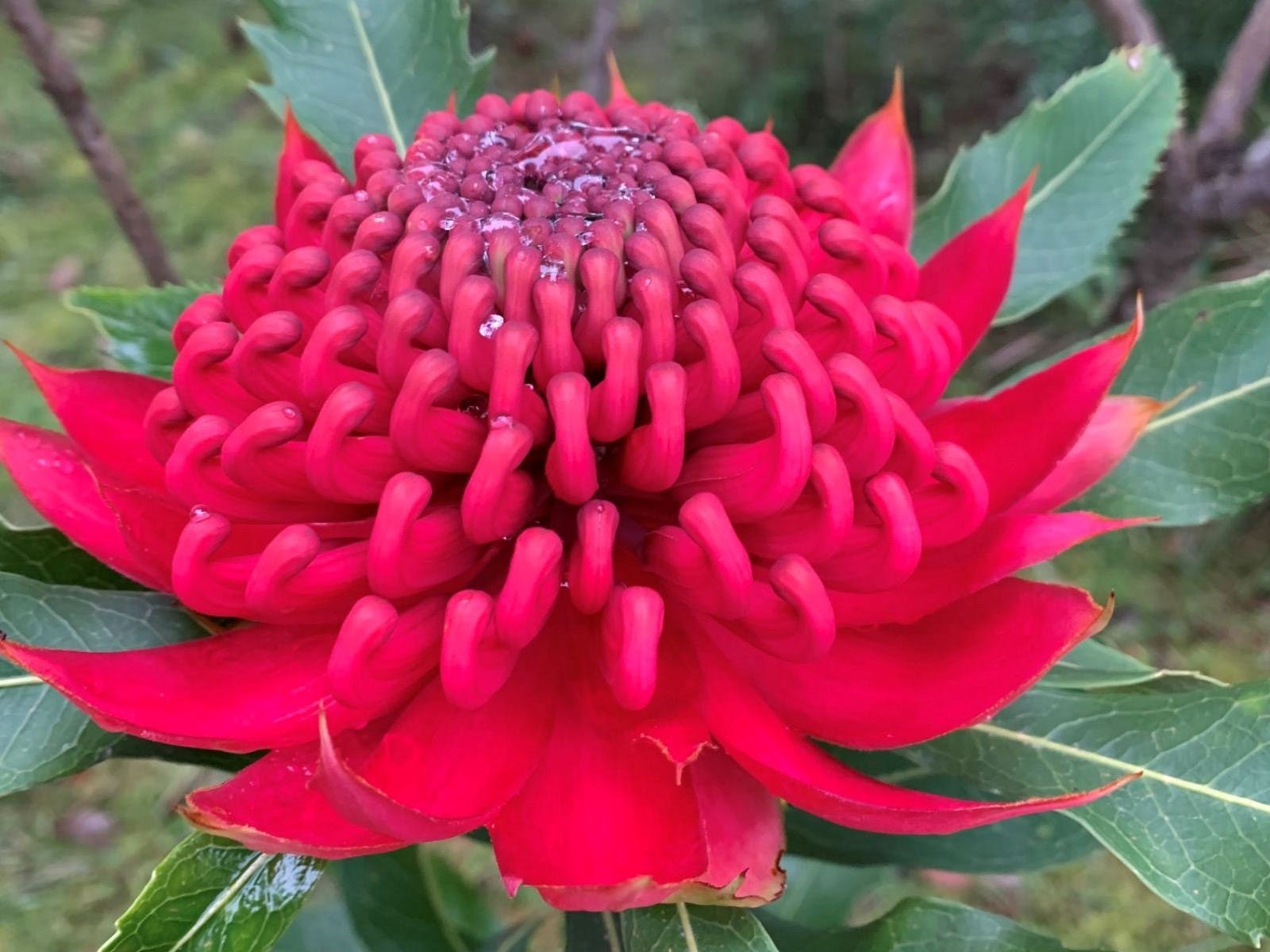 986637A38629Ac38598F7F7A6Bfd3De2