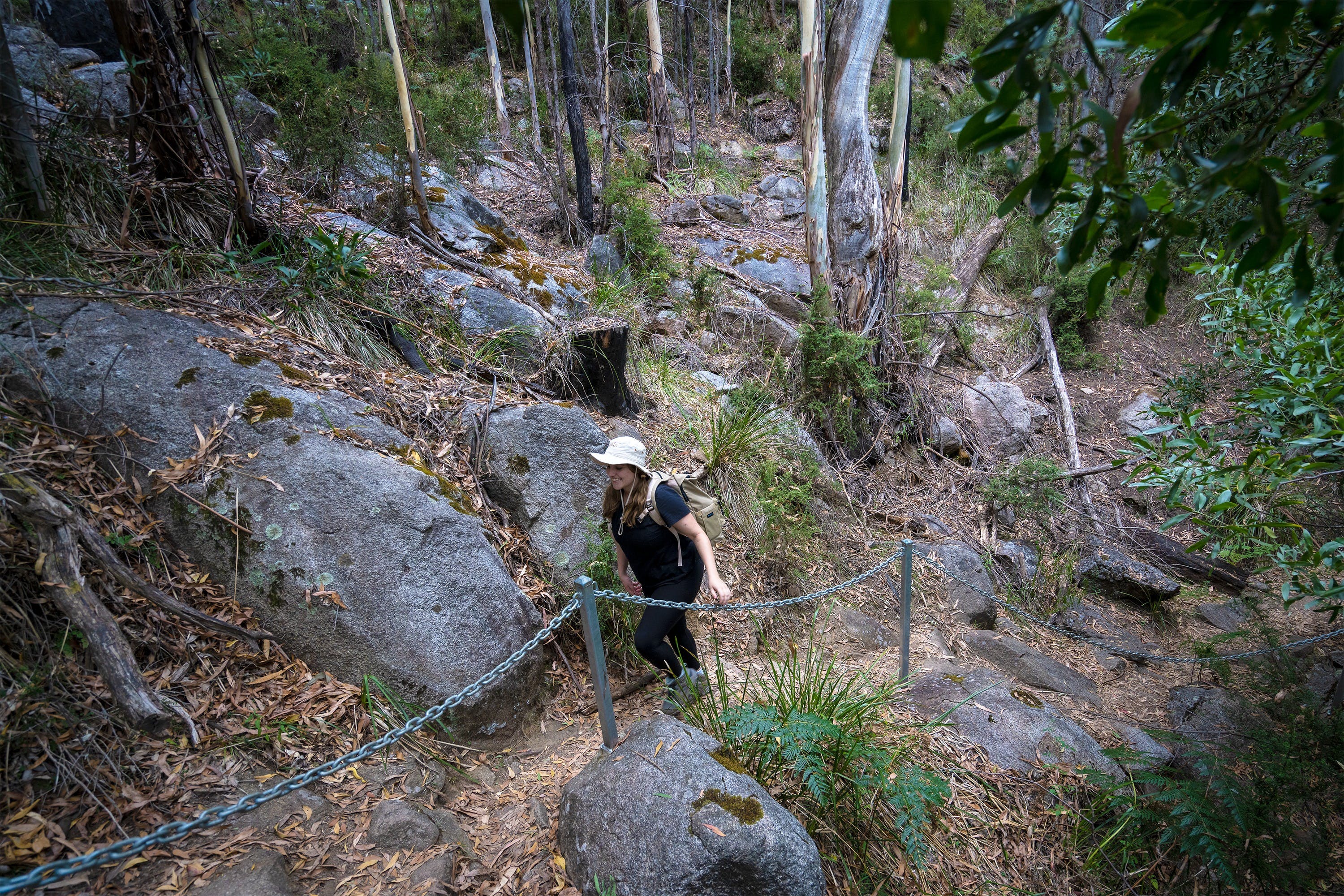 98992674824Dd839E4F2Fdf3409930F4