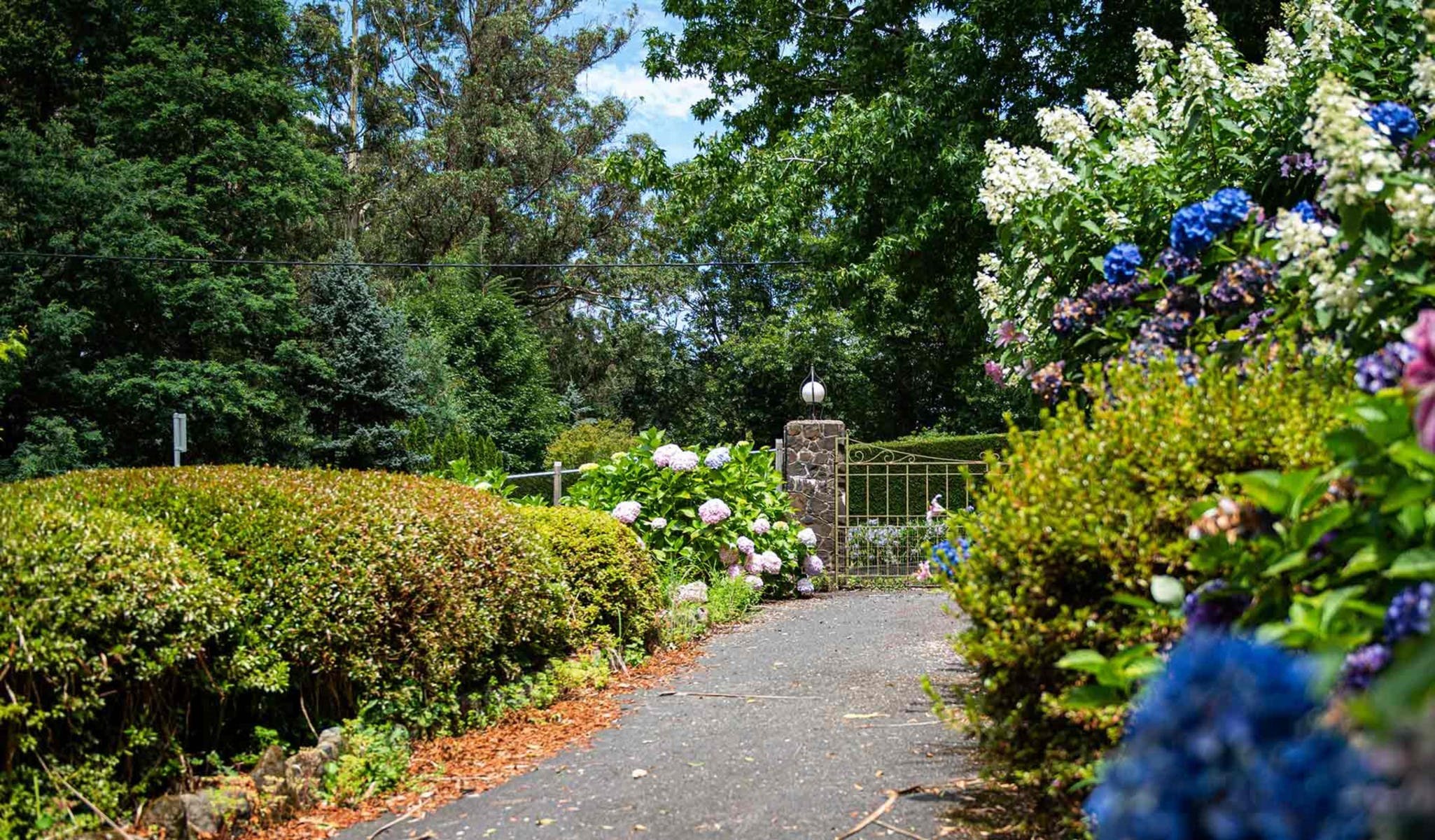 991699954057B88Abccc276C8009E38C