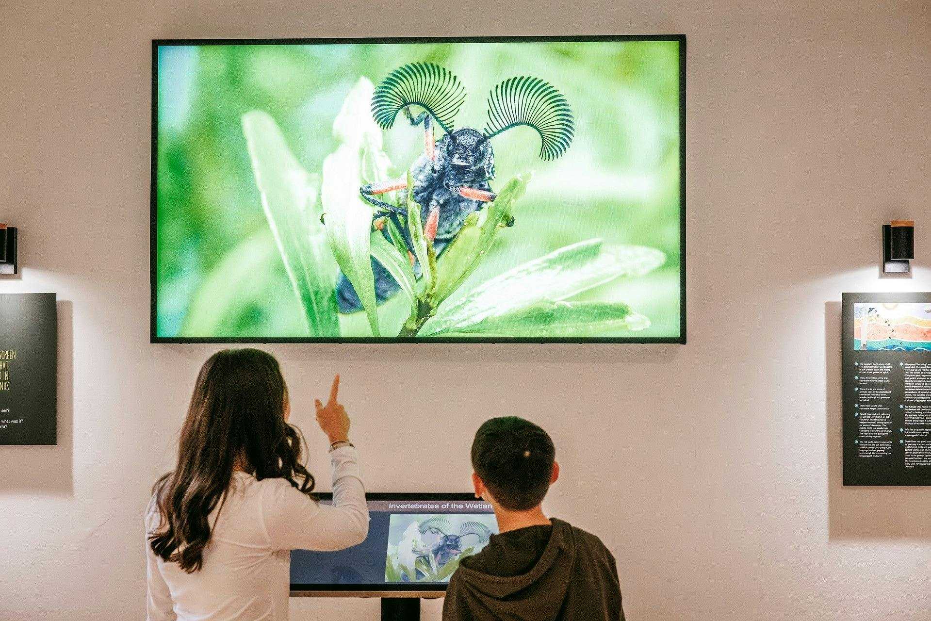 99Aa62E5D9F16D680773B9E5A5Ce9C51