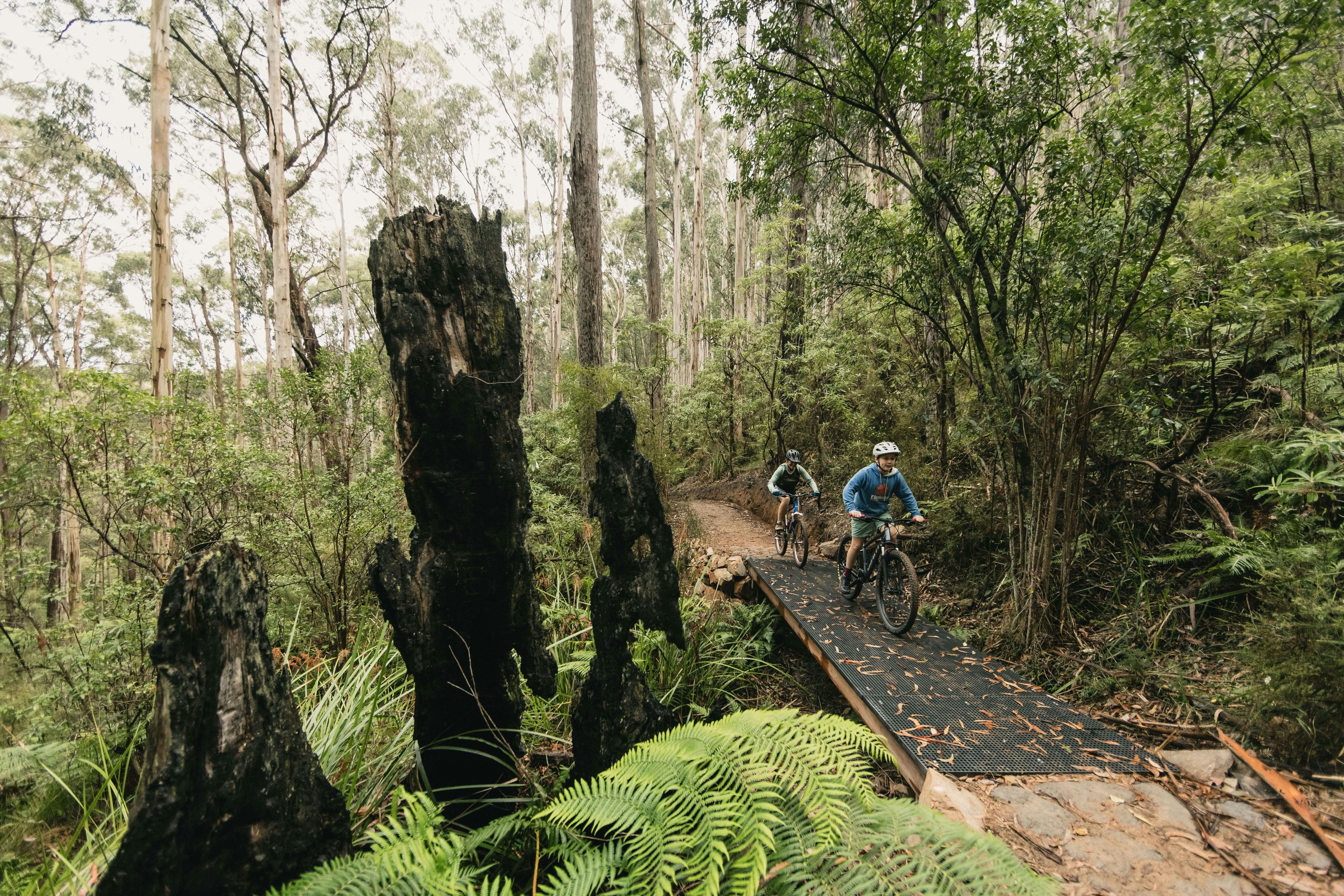 99D22B44B47Bf8Ff27B7619Eb3Fd7469