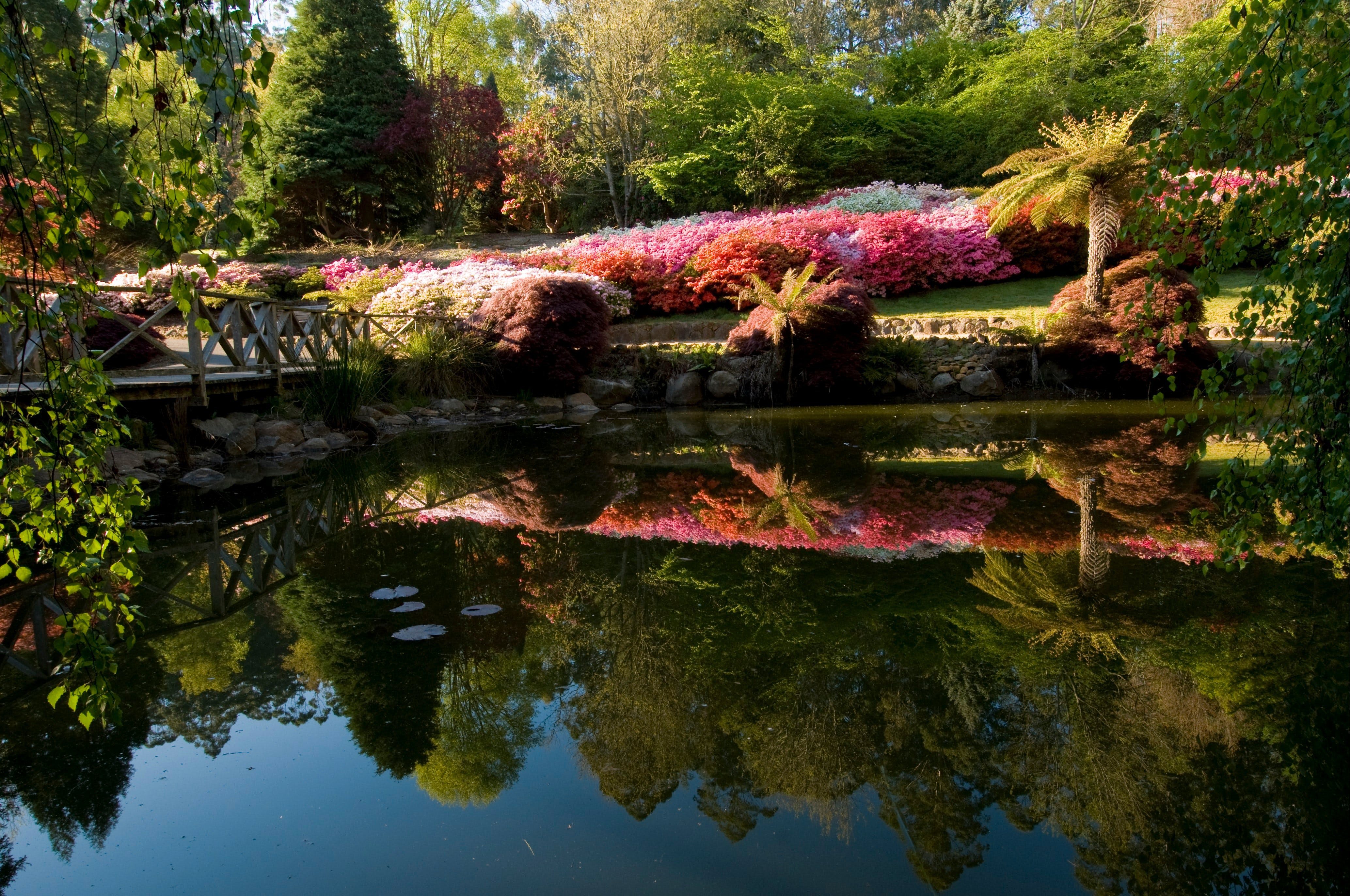 Mt Dandenong Visit Yarra Valley & Dandenong Ranges