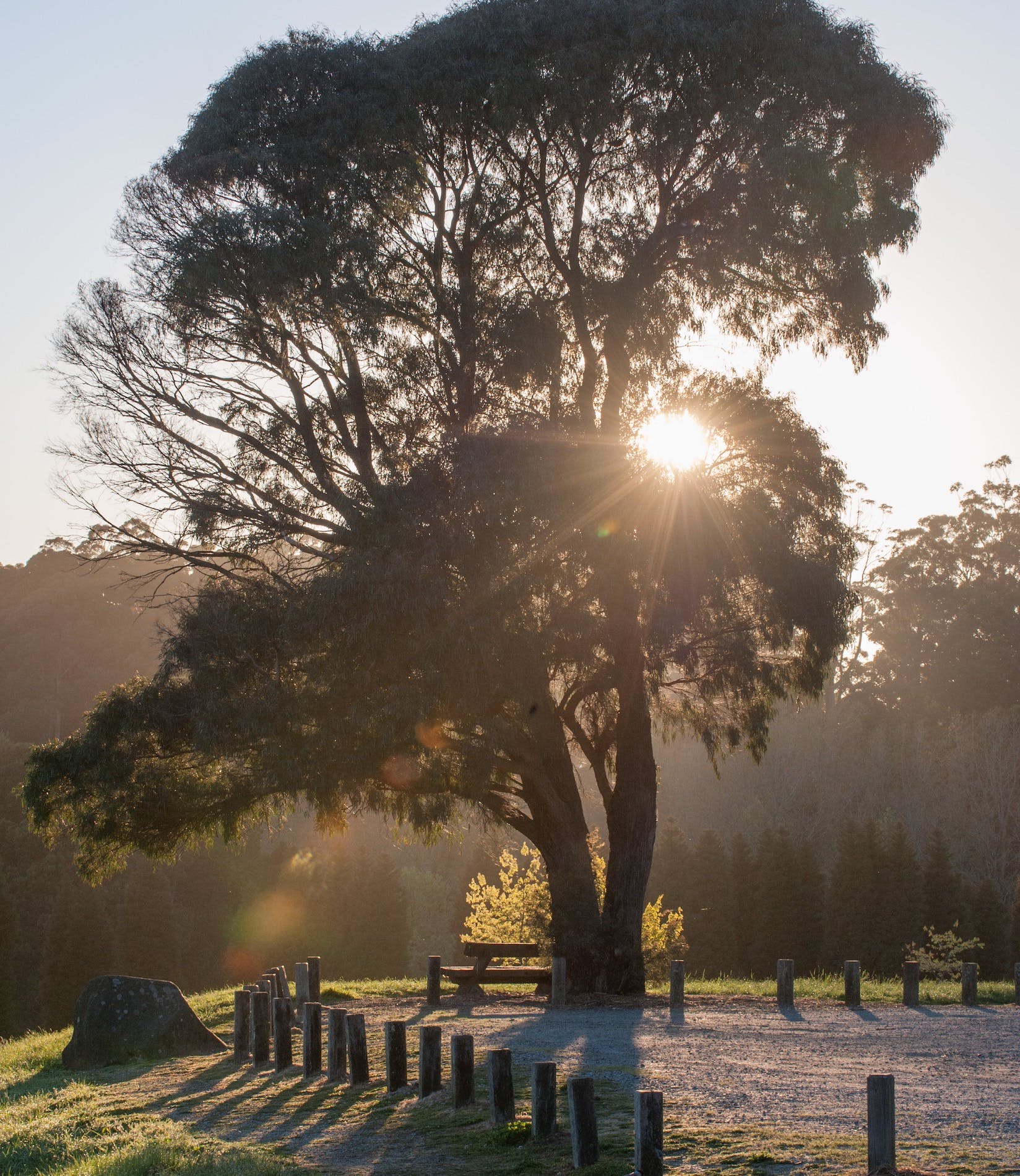 9B01D547D06B716715A0506F12A578E2