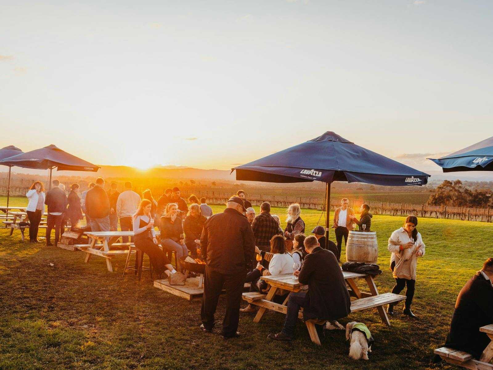 9B025068F2B1044Fc0A848C1846F7Cdb_Z3Fij14