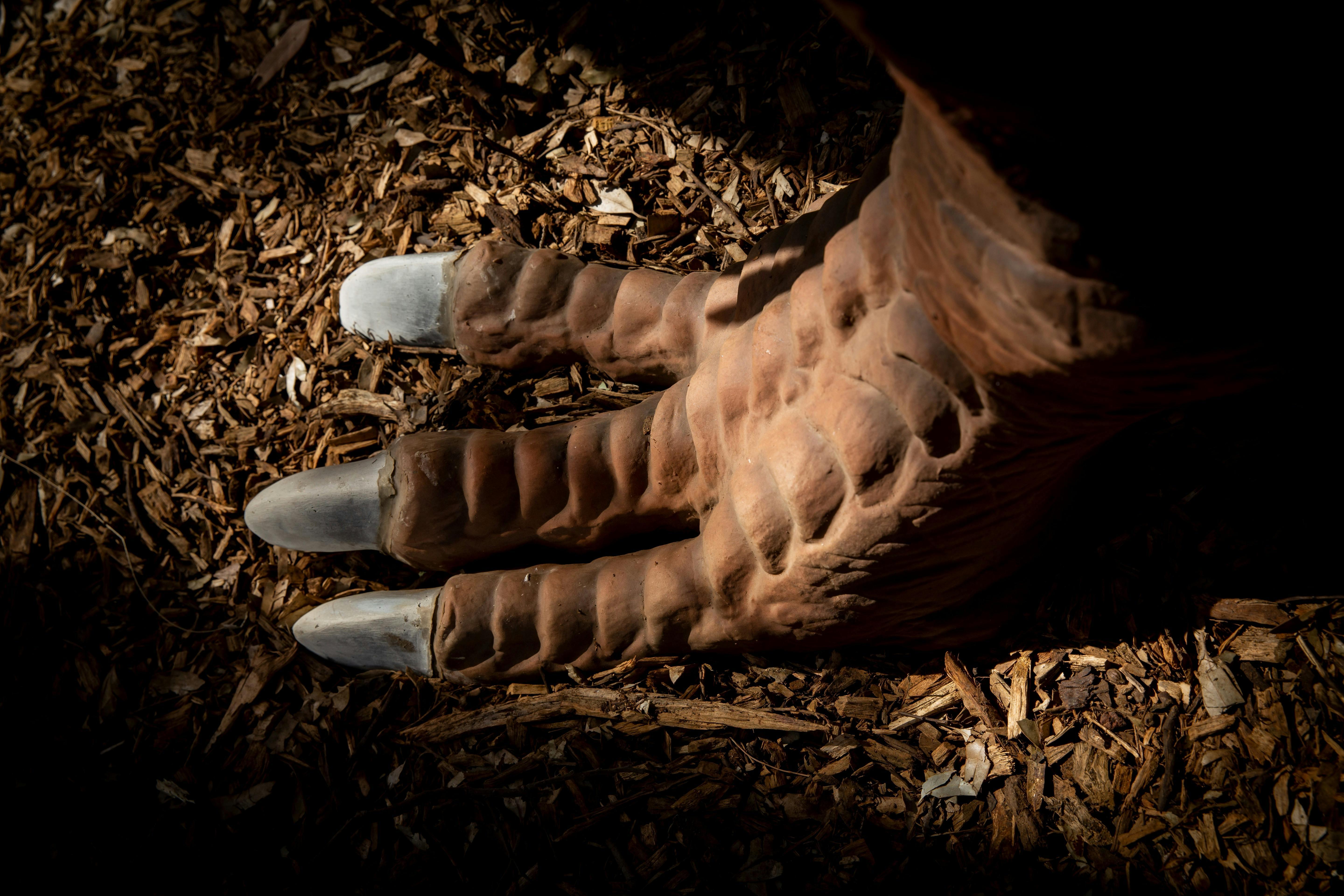 9Ba93A2887003Ff7Dd23B3C1E6516179