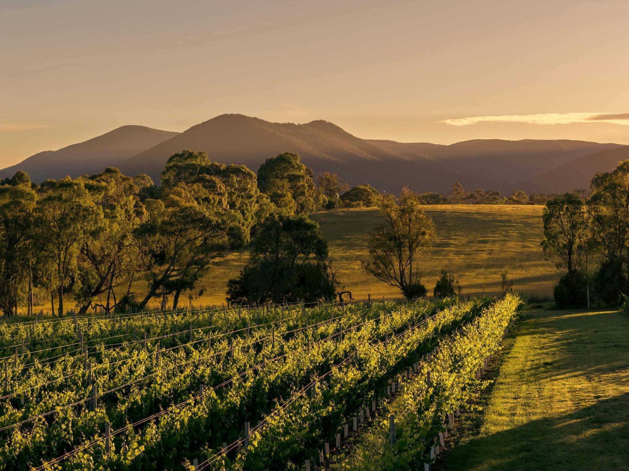 9D1Ef6C9B9232454F2287657F3275Ef2