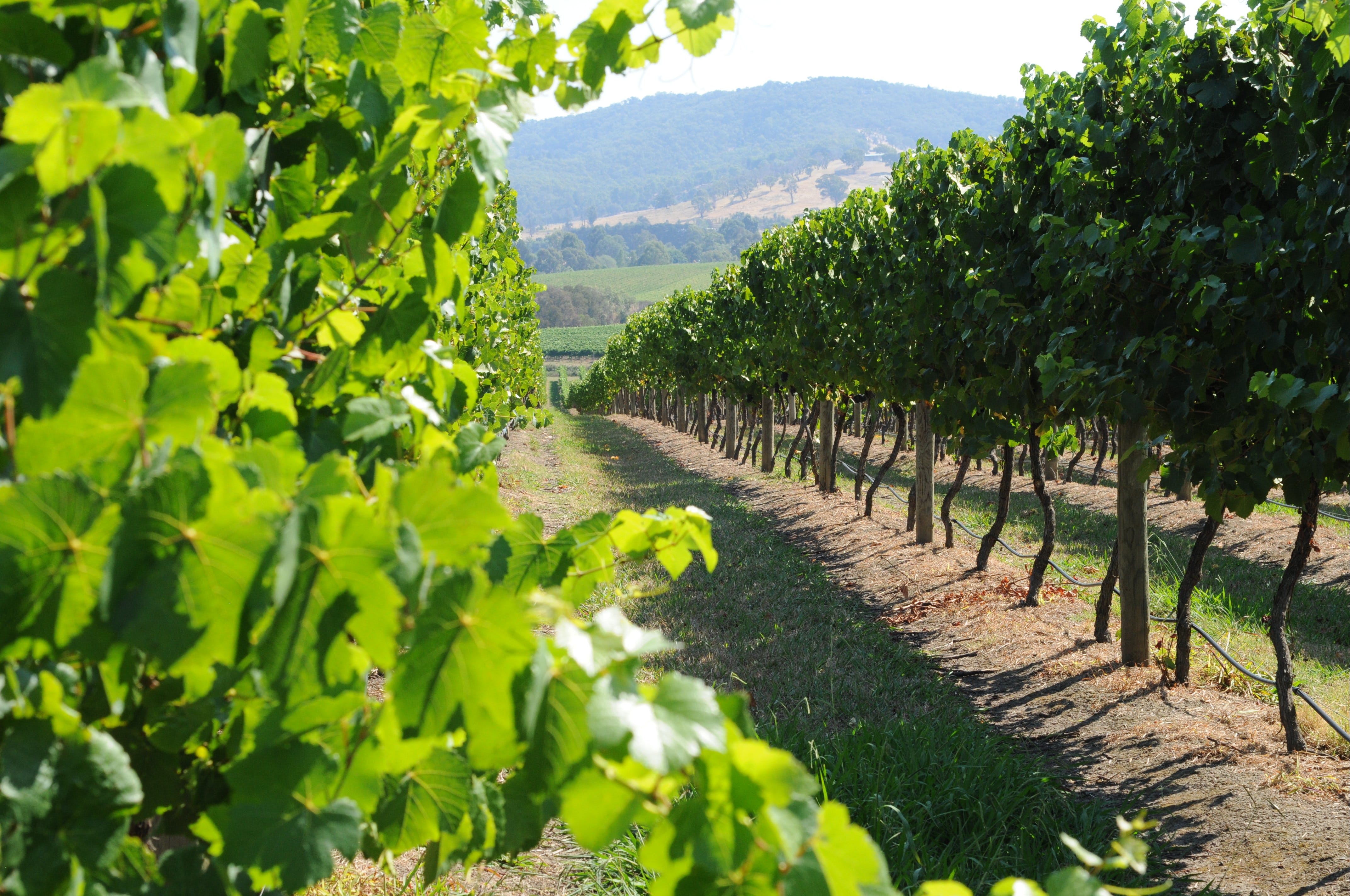 9D222D256Ed46F12A9078Cedee53C88F