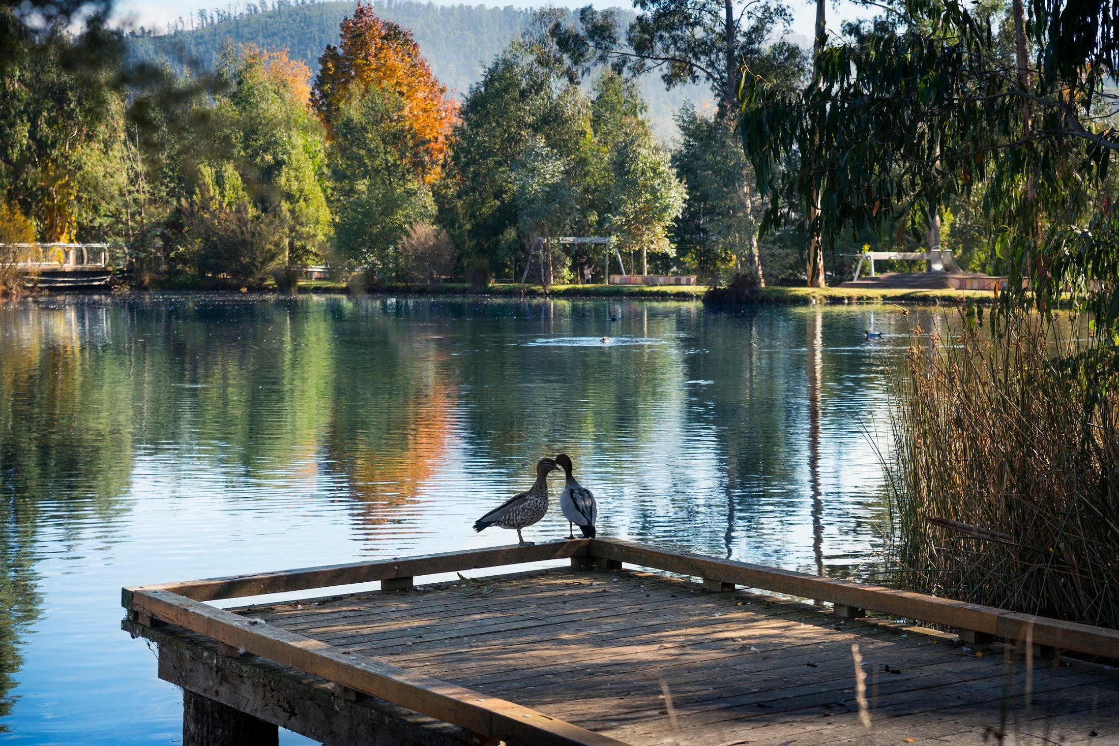 9D41E67D9D3B8E9042Aee28F03578362