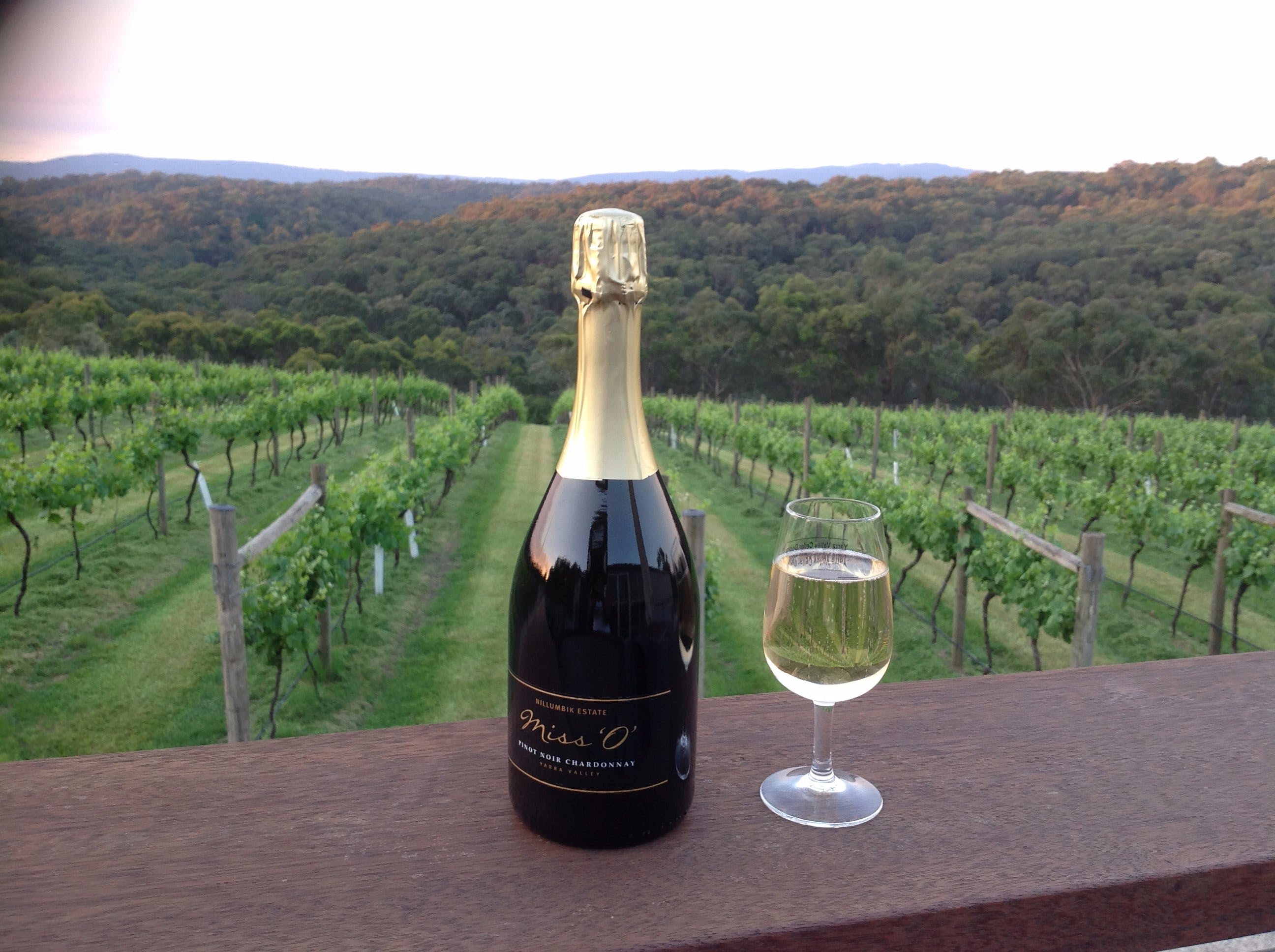 9D539Cf975B22841942Fad9D56C1454A