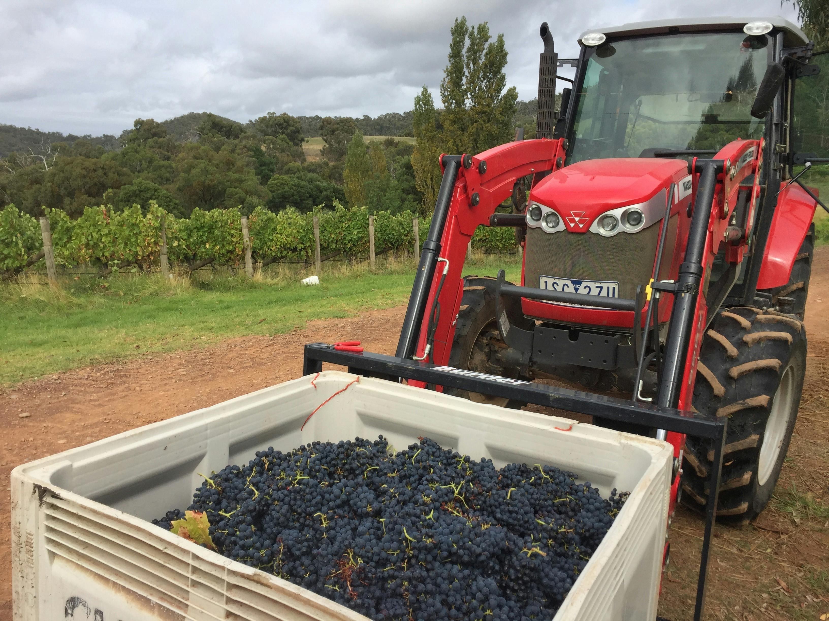 9Fc5378891E5094549003F8Ece262C8B