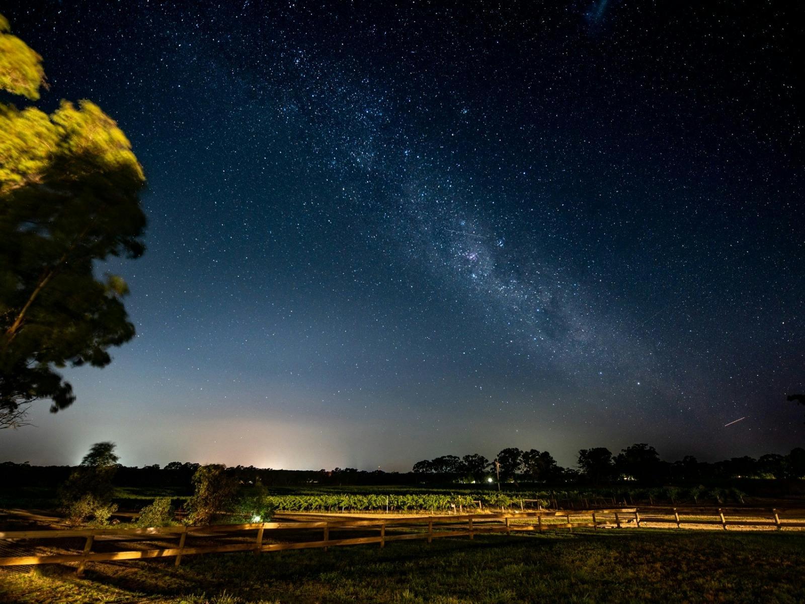 9Fda4564074A7D591F9A37E69C760Ec1