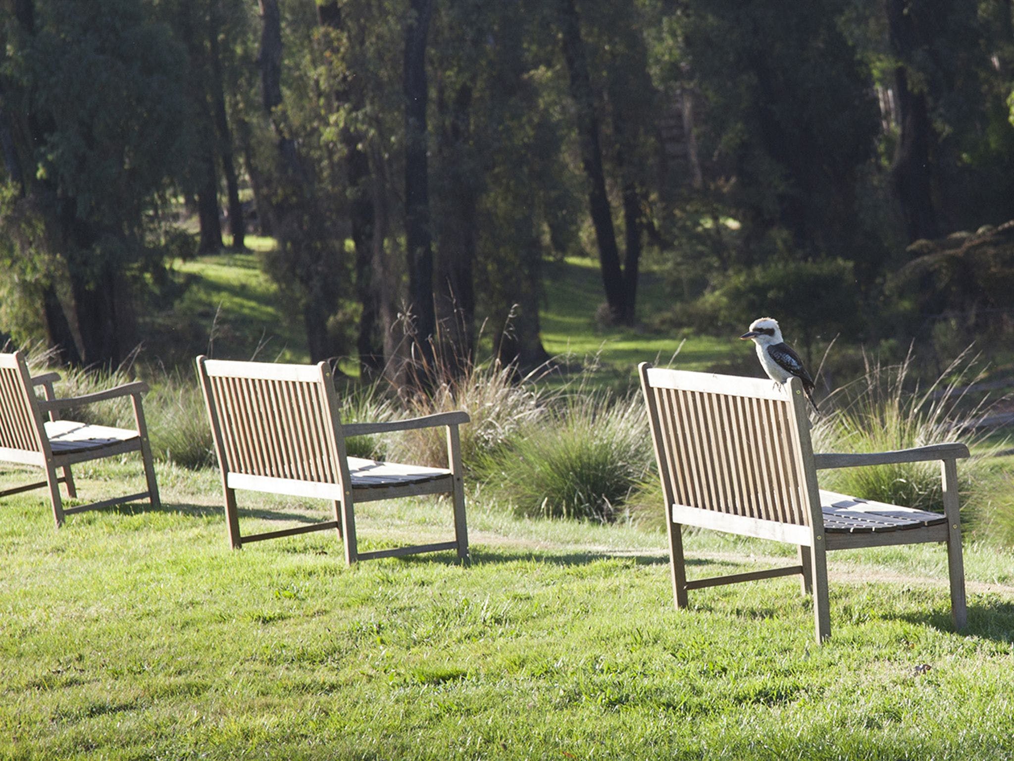 Atdw_Extra_Large_Landscape__9755418_Dy43_Benches_Oif4Hwx