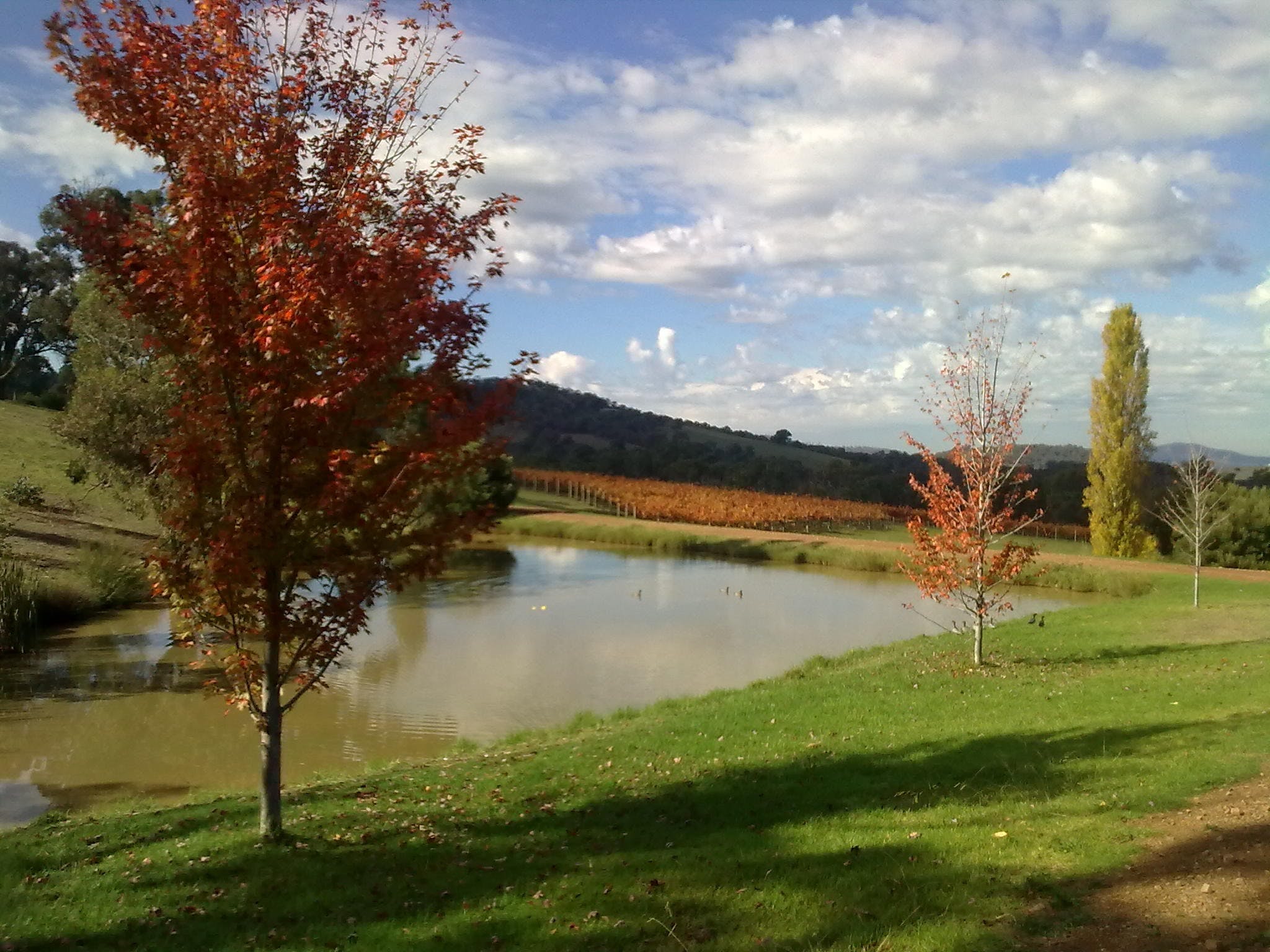 Original__9029543_Aq63_21042010_039_Mbs5Pfo