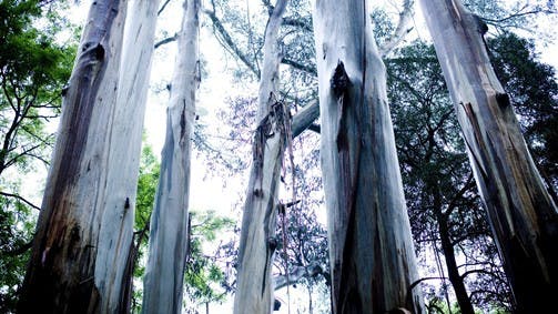 Original__9135298_Tvic_Gtolandscape__9049876_Tvic_Visionsofvictoria1238638833_S7U1Hop