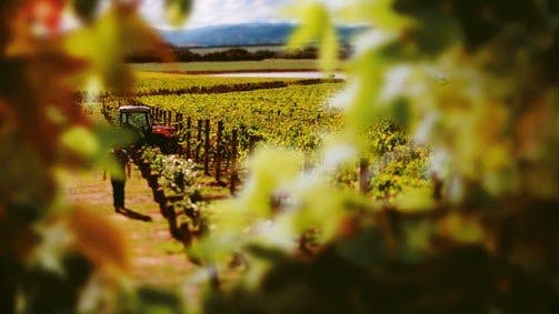 Original__9135865_Tvic_Yv_Domaine_R_Campaign_503X283_3Wwcbzz