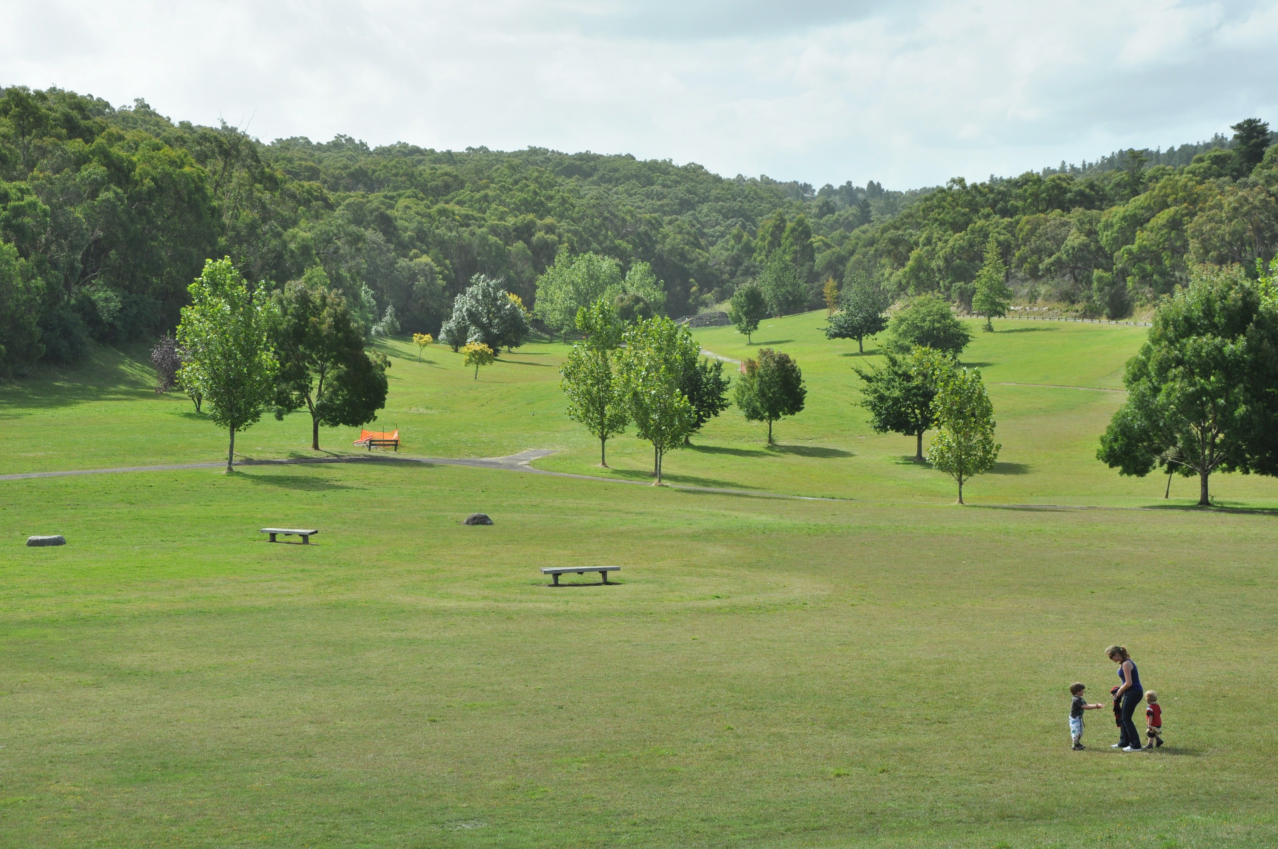 Original__9166003_Tvic_Cardinia_Reservoir_Park__Crystal_Brook_Picnic_Area_Es42B4Q