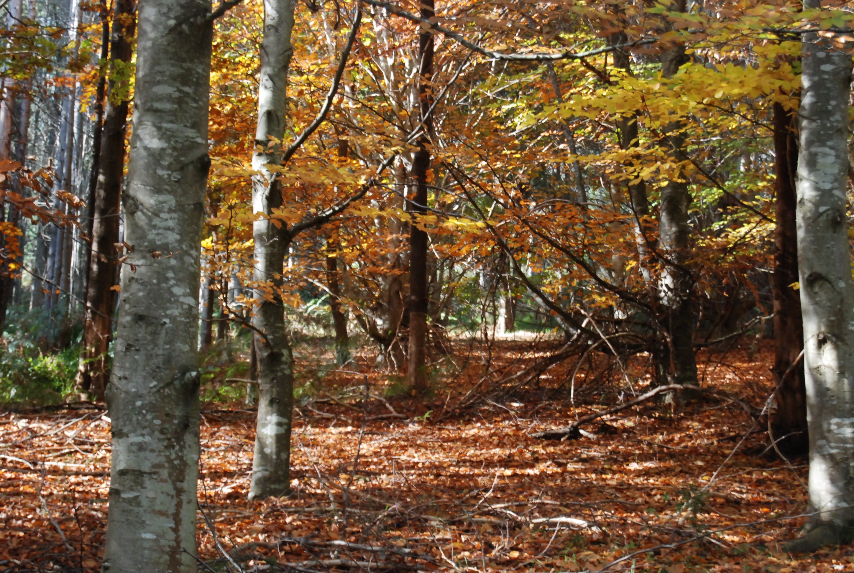 Original__9166018_Tvic_Hamer_5_H04Pdi2