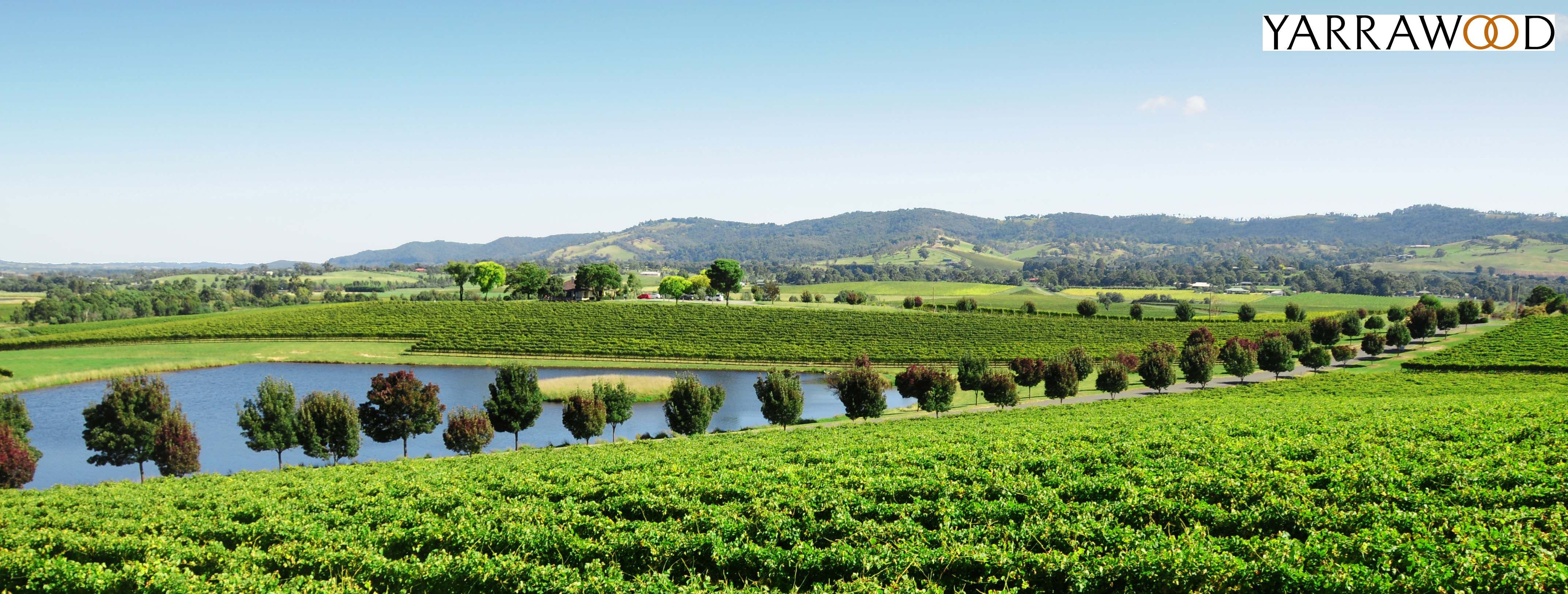 Original__9616724_Aq12_Yarrawood_Estate__Overview_Eqnzyh5