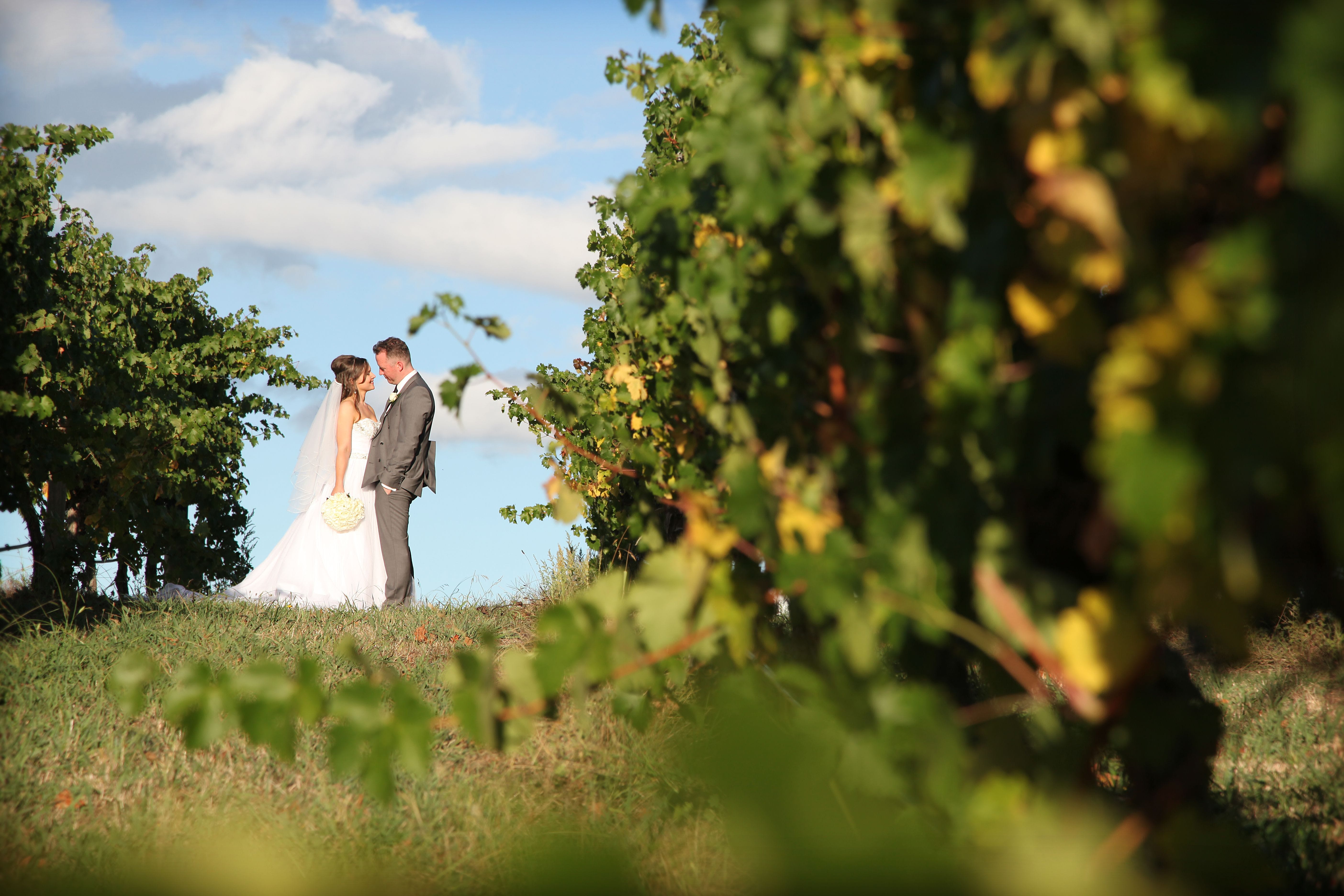 Original__9652719_At45_Mc439_Qjaecsx