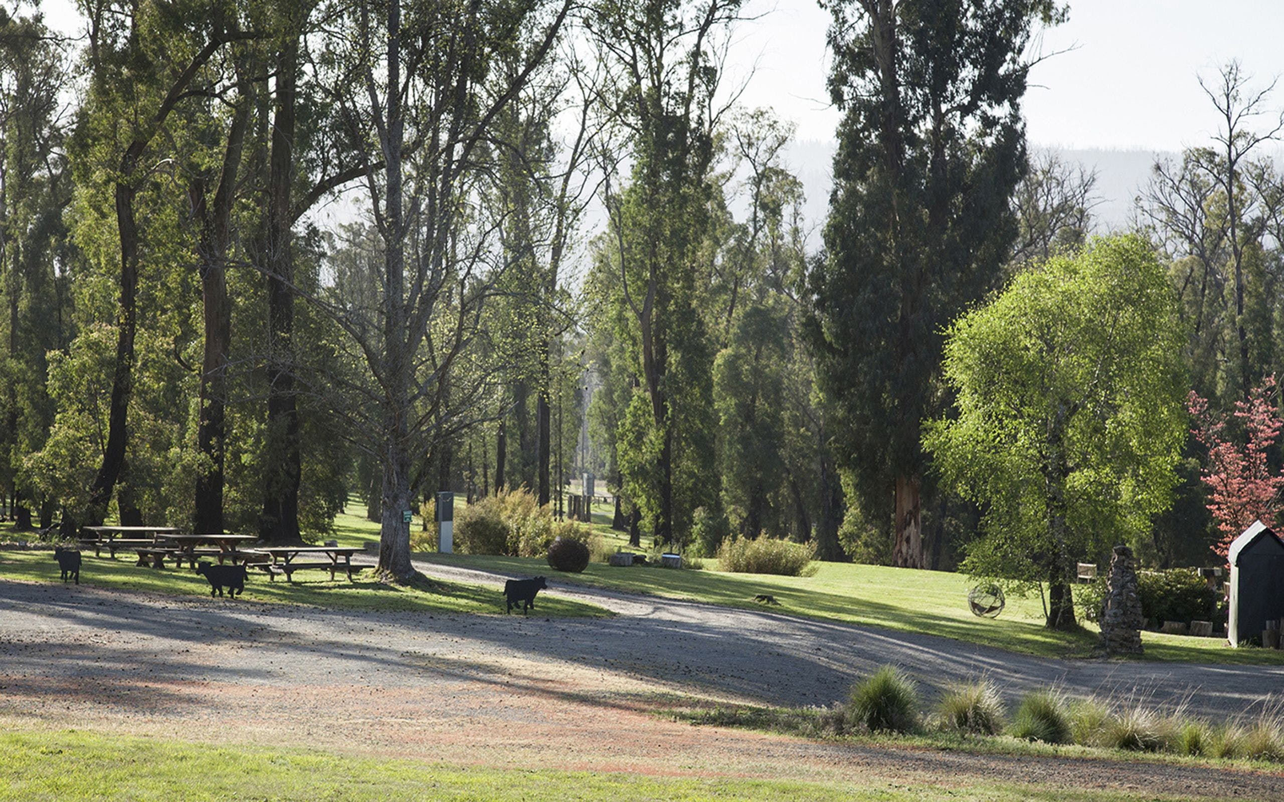 Original__9755463_Dy43_Vista_3B9H63P