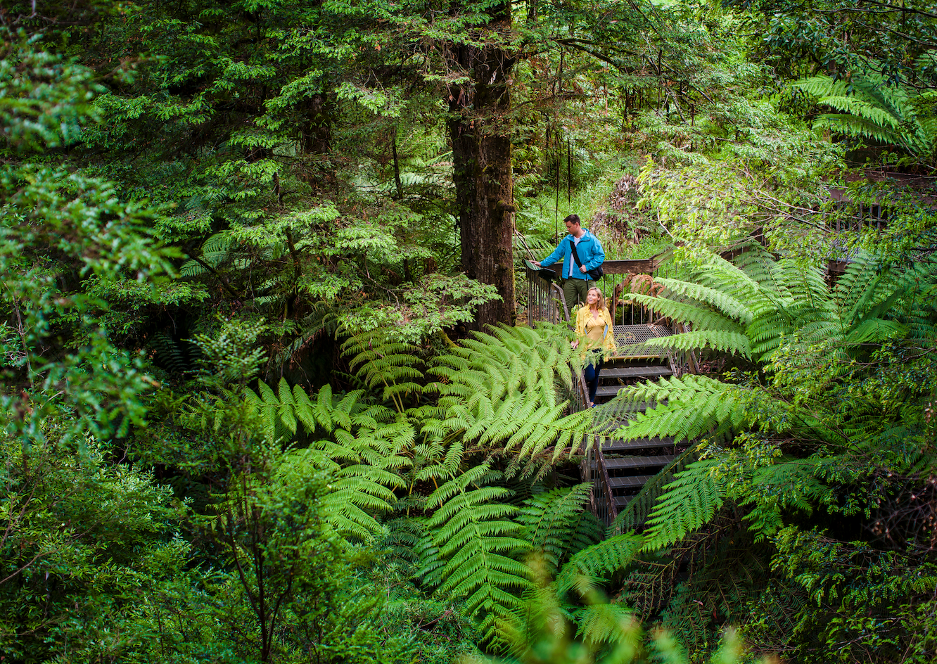 Screen Shot 2024 03 28 at 2 21 08 pm