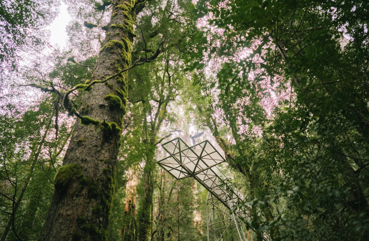 Screen Shot 2024 03 28 at 2 23 28 pm