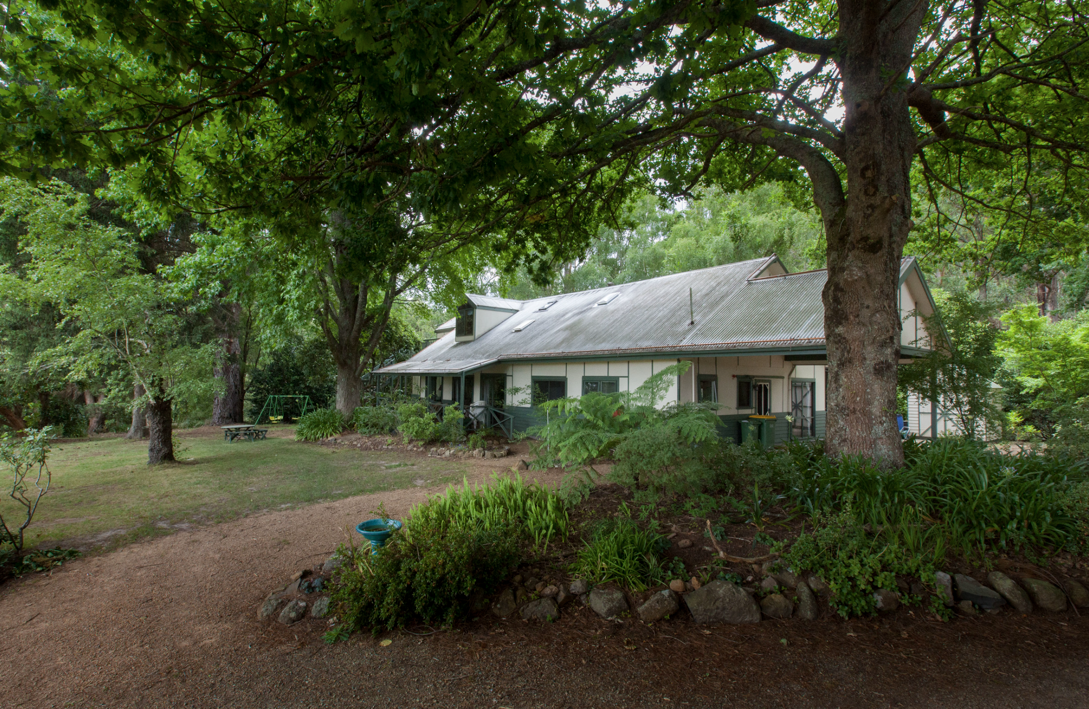 Screen Shot 2024 06 21 at 1 00 21 pm