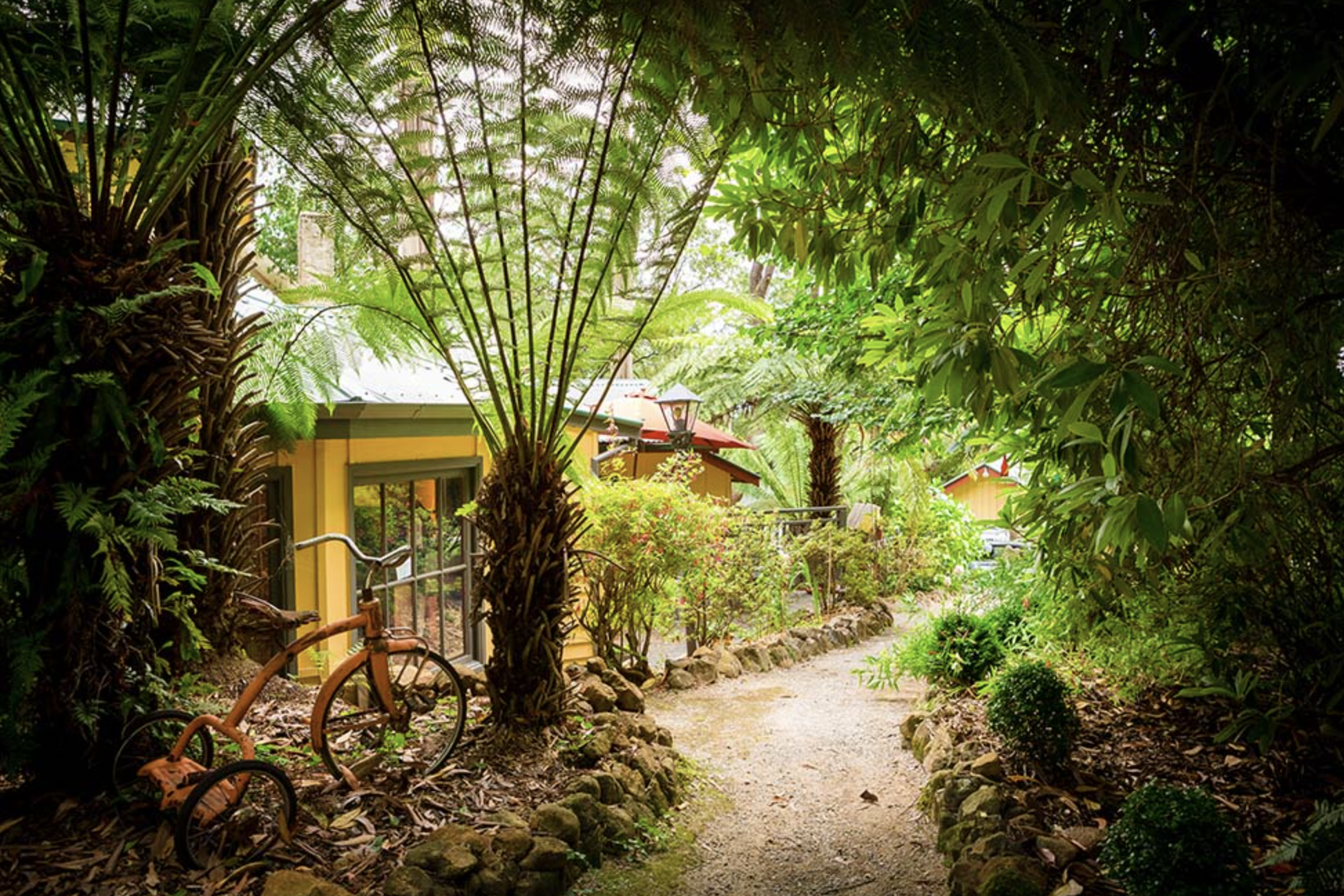 Screen Shot 2024 08 21 at 10 51 09 am